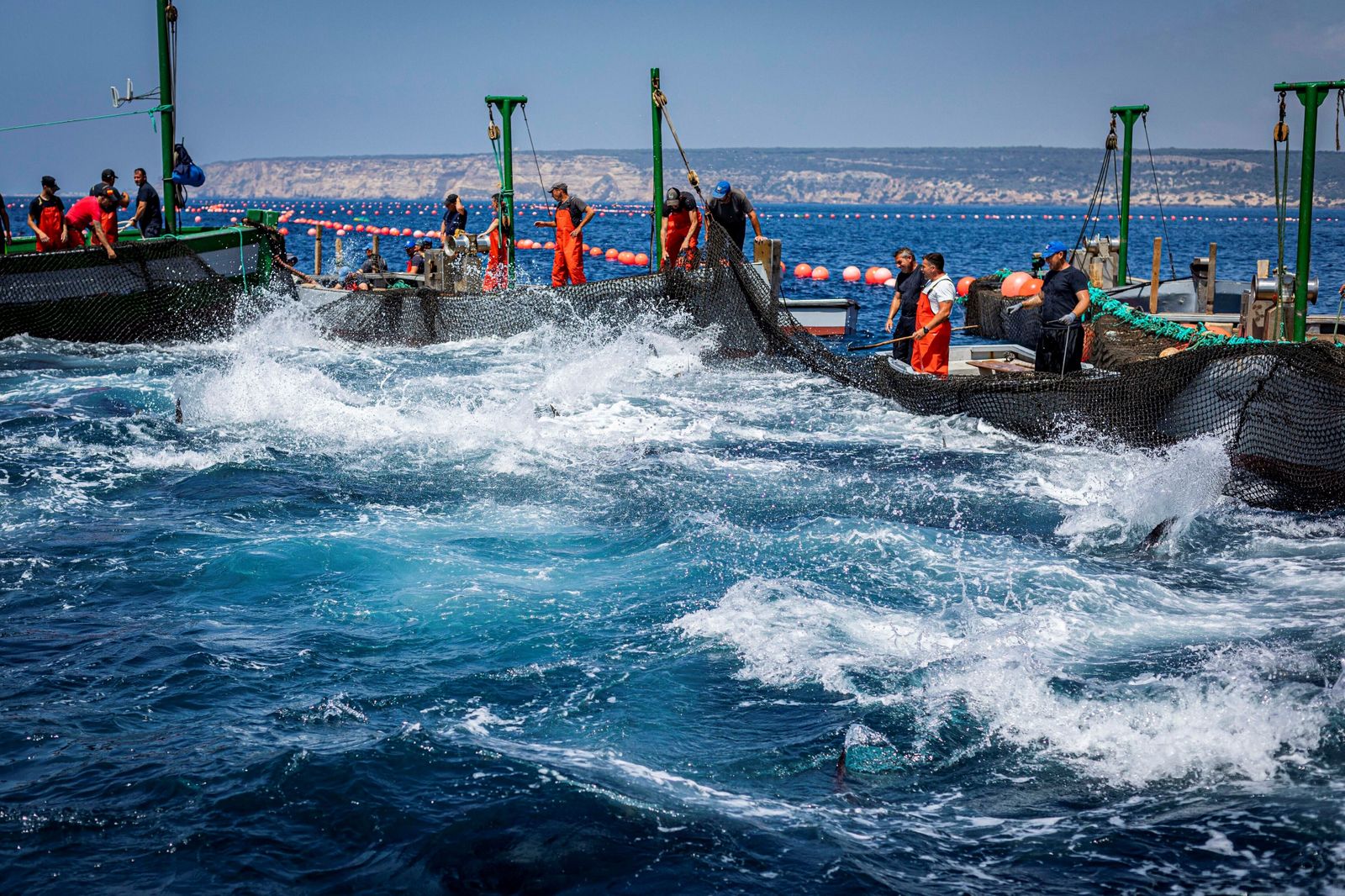 Un momento de la primera levantá de atunes de este año en Barbate.