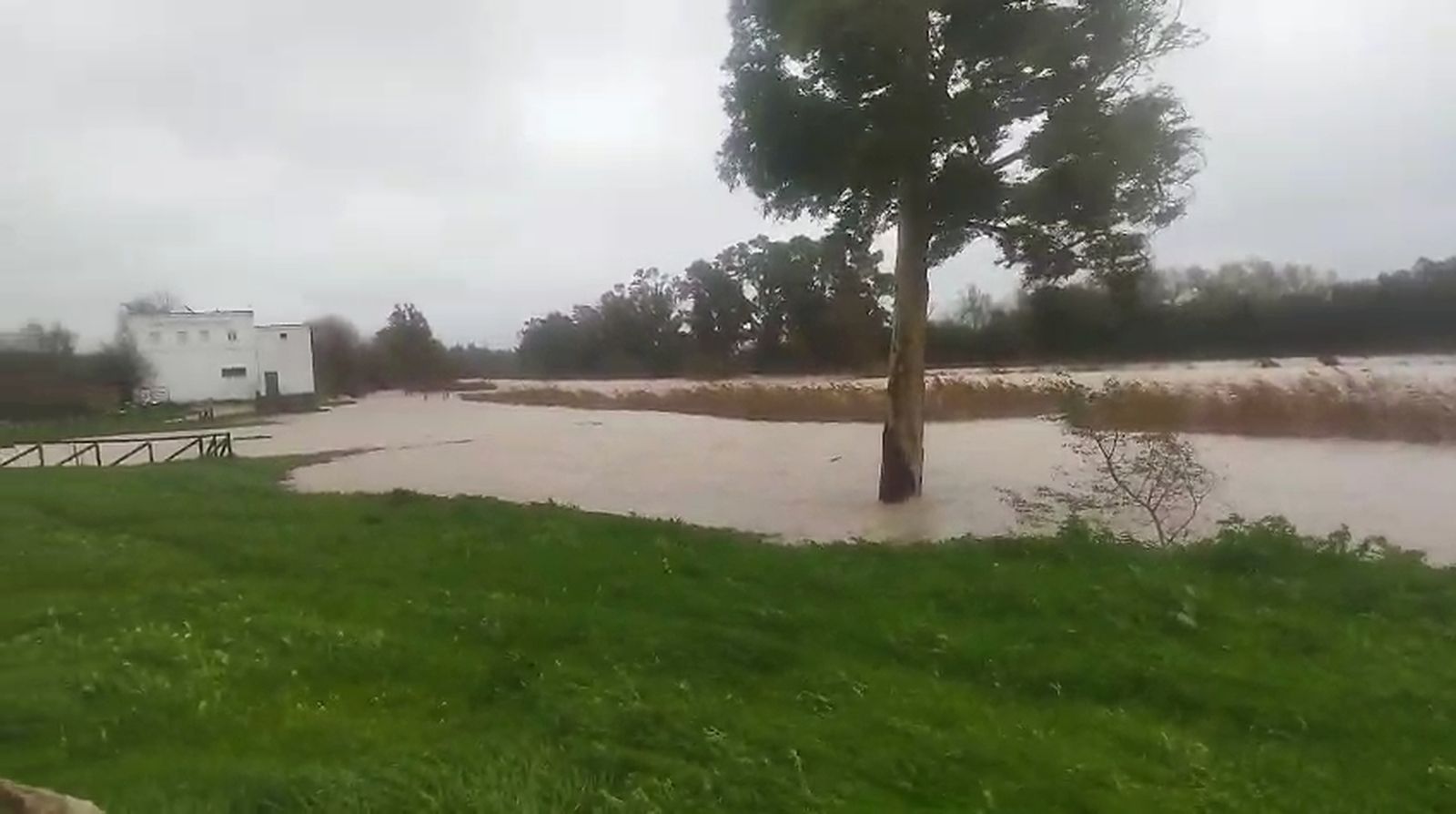 El Guadalete a su paso por La Corta