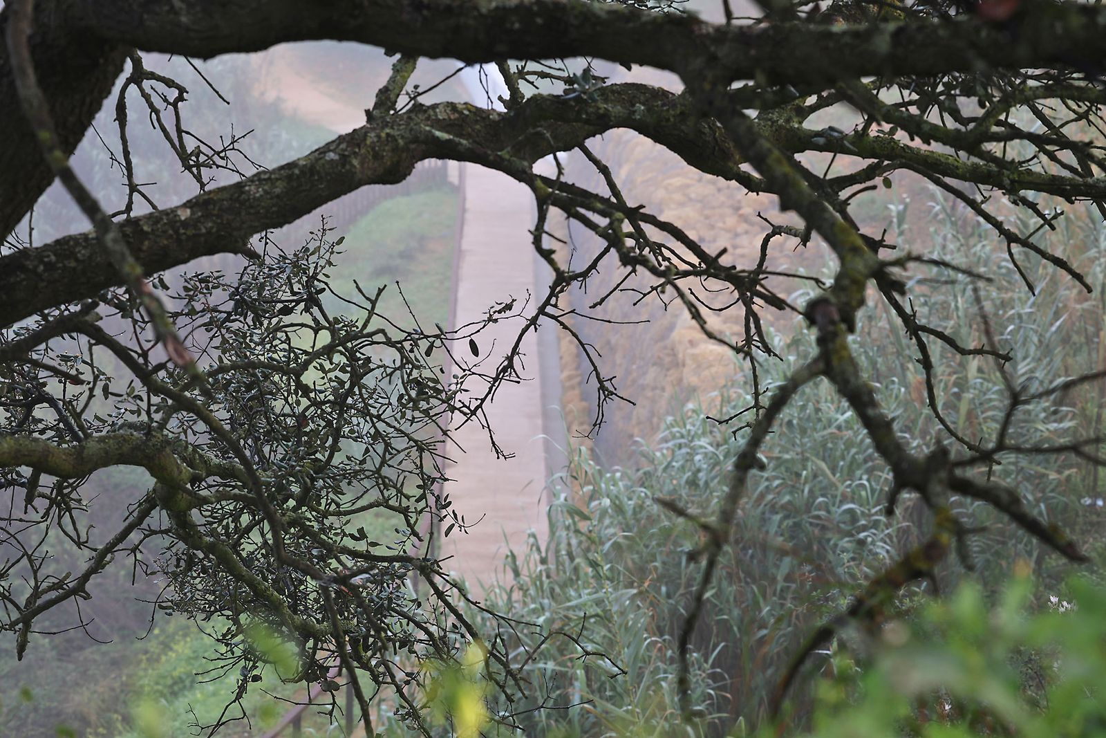 Imágenes de la espesa niebla durante la mañana en Huelva