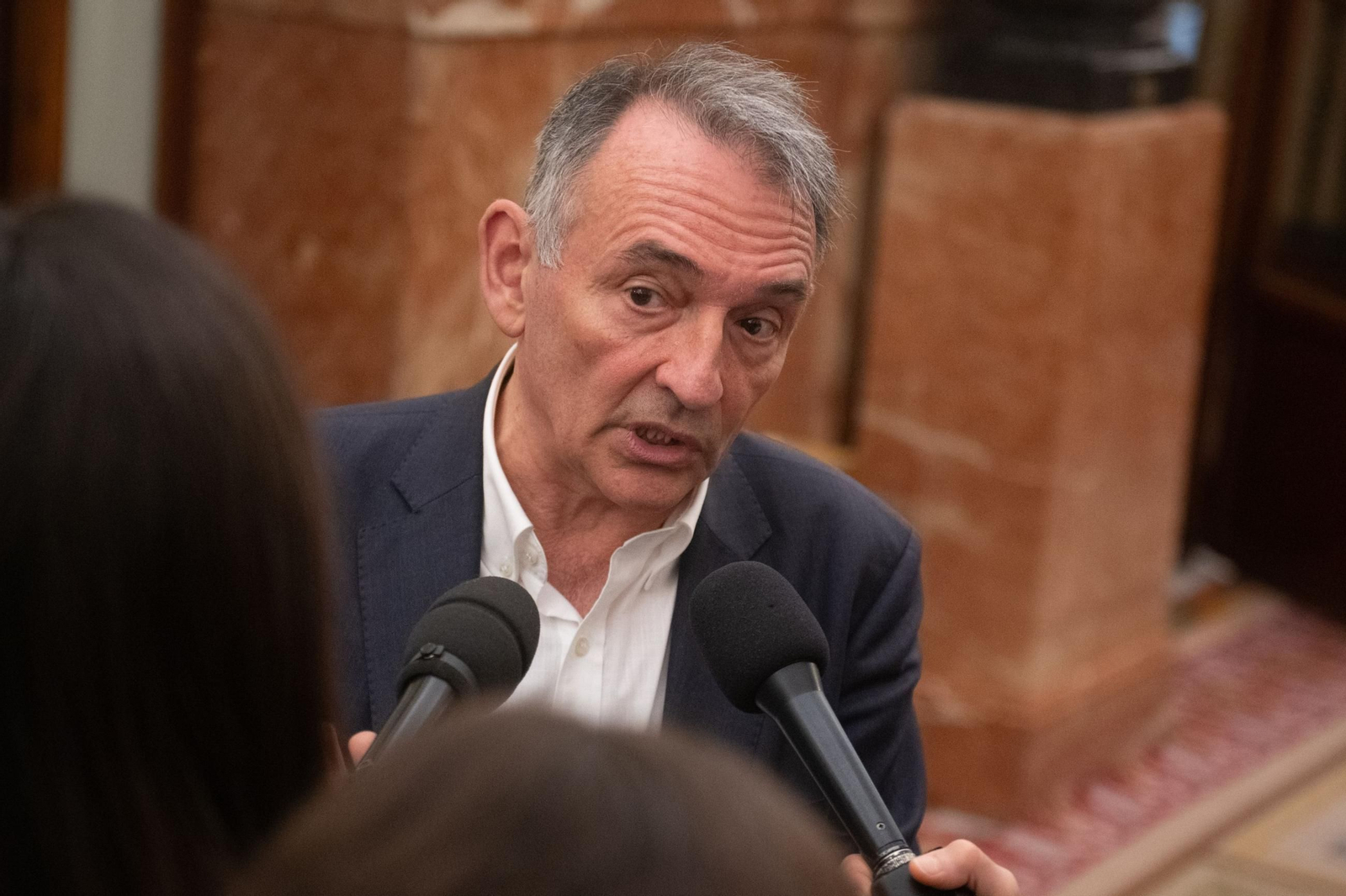 El diputado de IU y líder del PCE, Enrique Santiago.