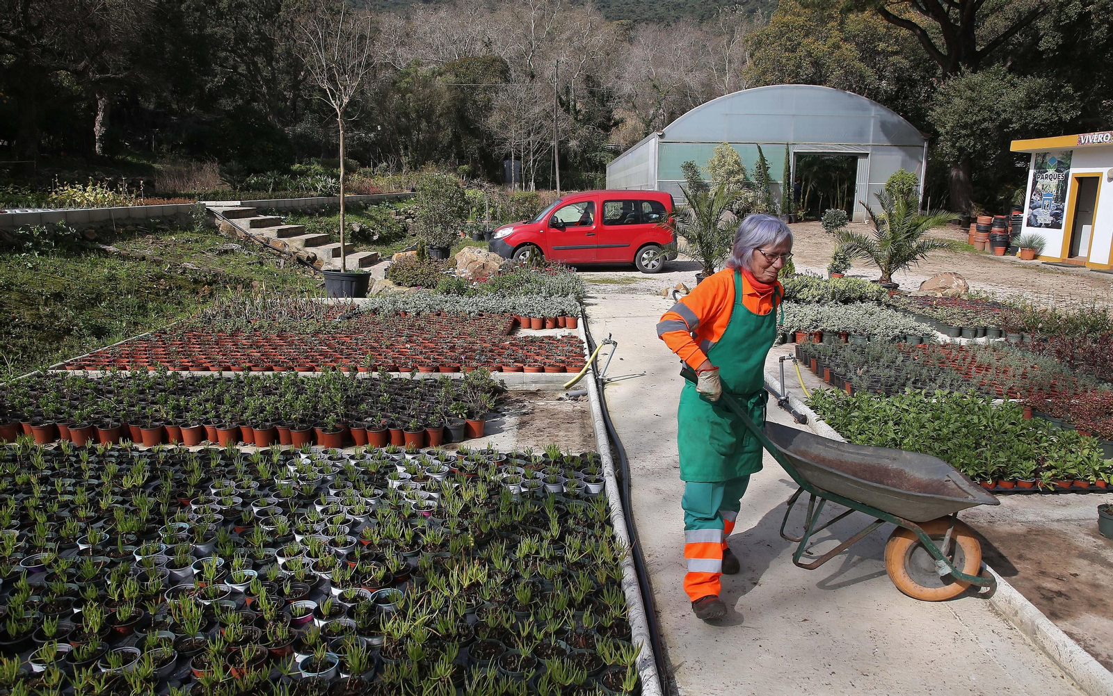 Fotos del vivero municipal de Algeciras