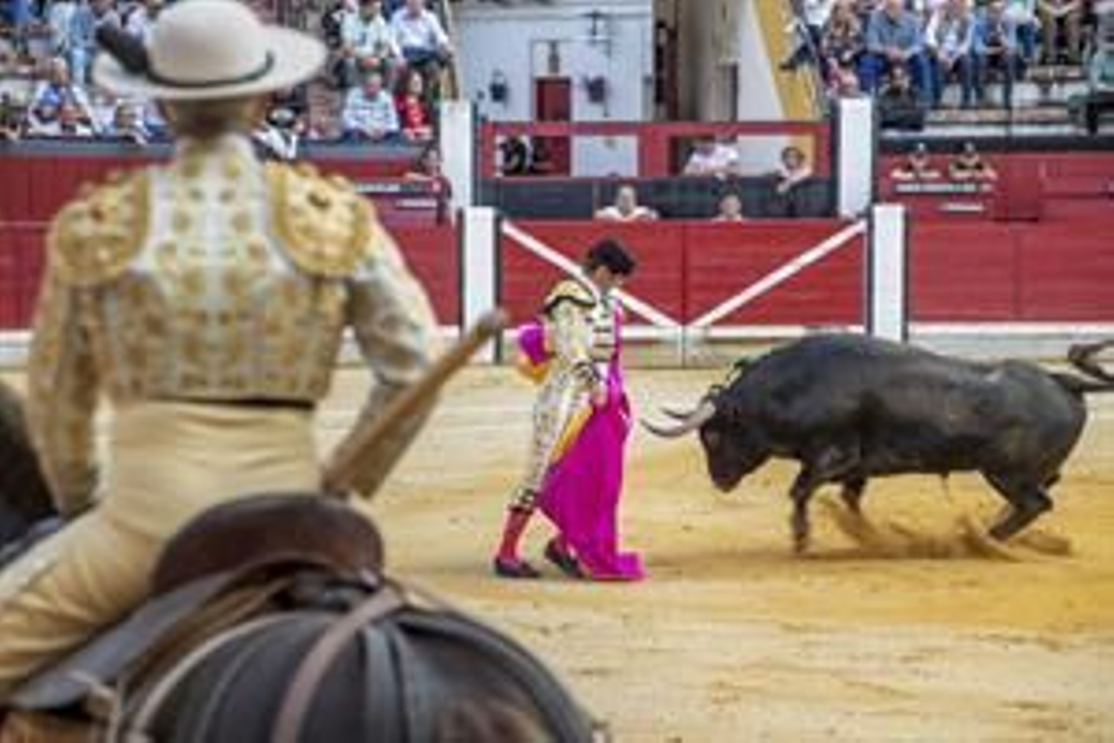 La primera corrida de San Lucas con el Fandi, Ferrera y Escribano, en imágenes