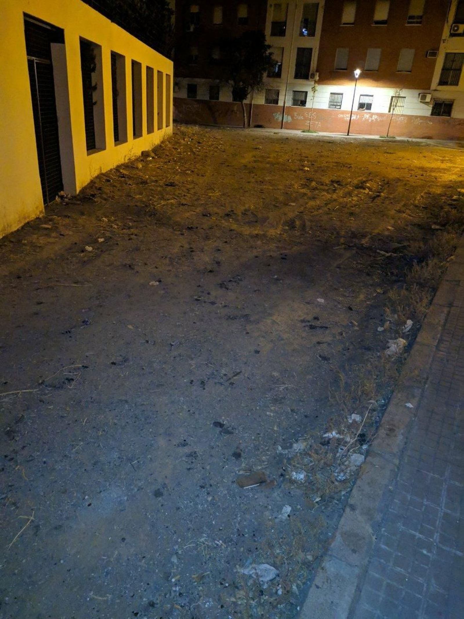 Galería de imágenes de la suciedad en distintos puntos de la ciudad.