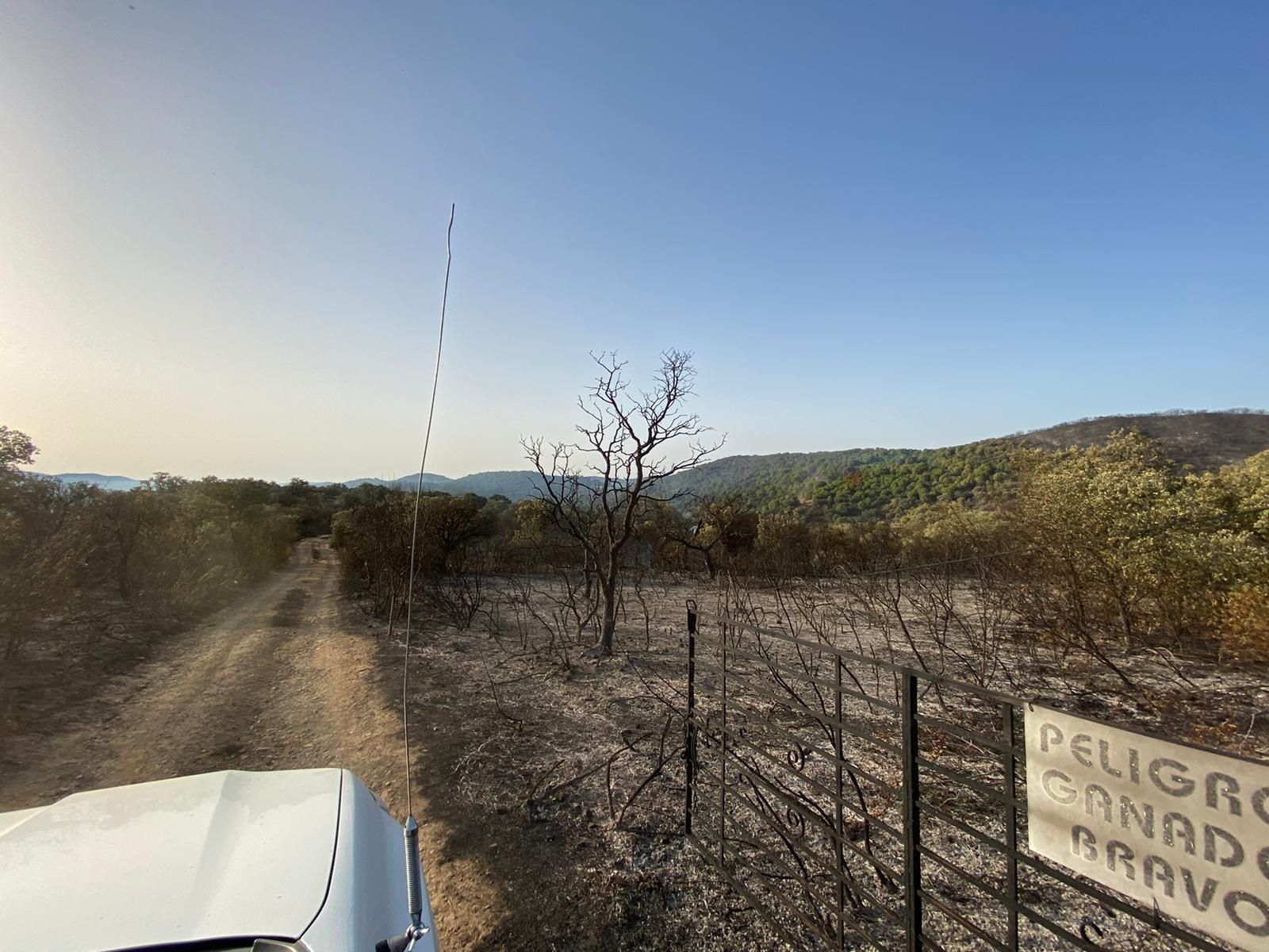 Secuelas del incendio de Villaharta.