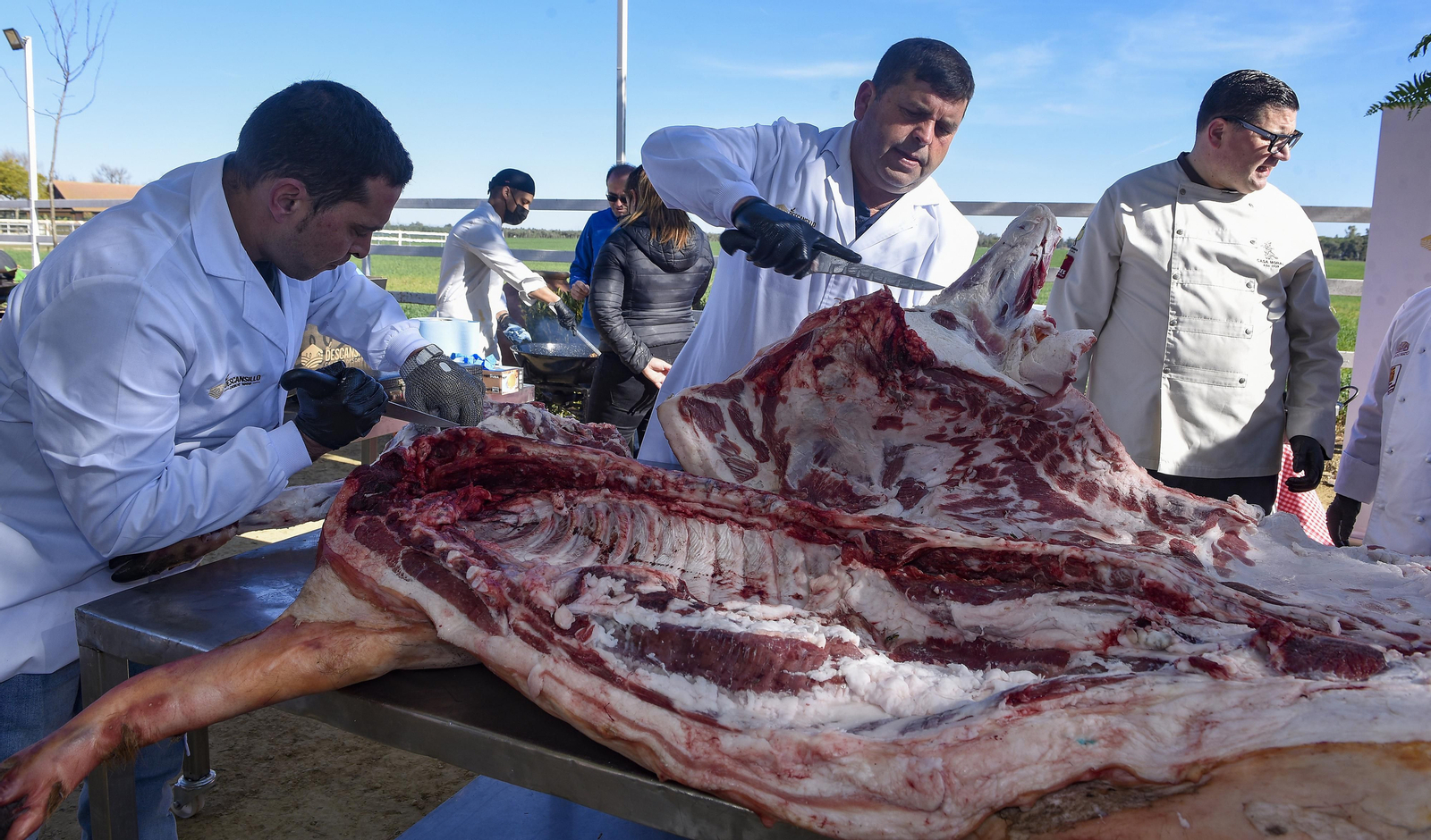 Un día de matanza en una finca sevillana