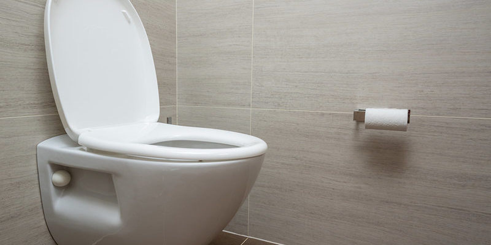 Cada 19 de noviembre tiene lugar el Día Mundial del Retrete