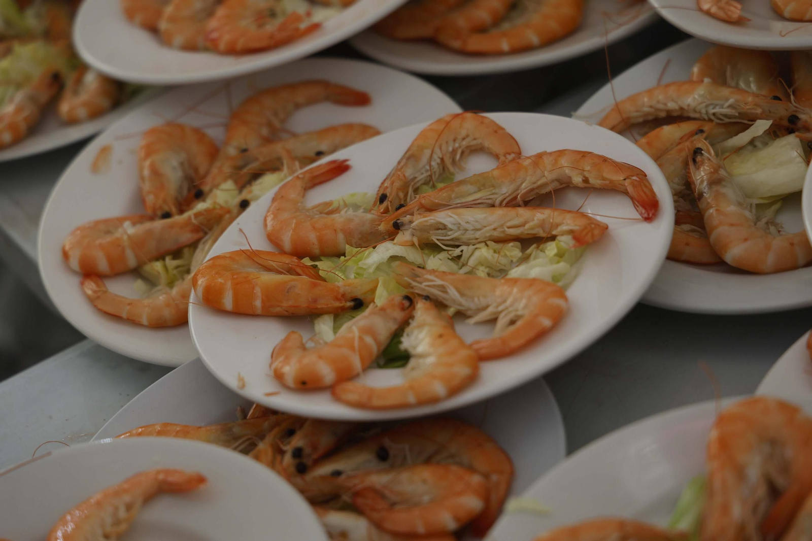 Fotos del almuerzo para mayores en la Feria de Castellar