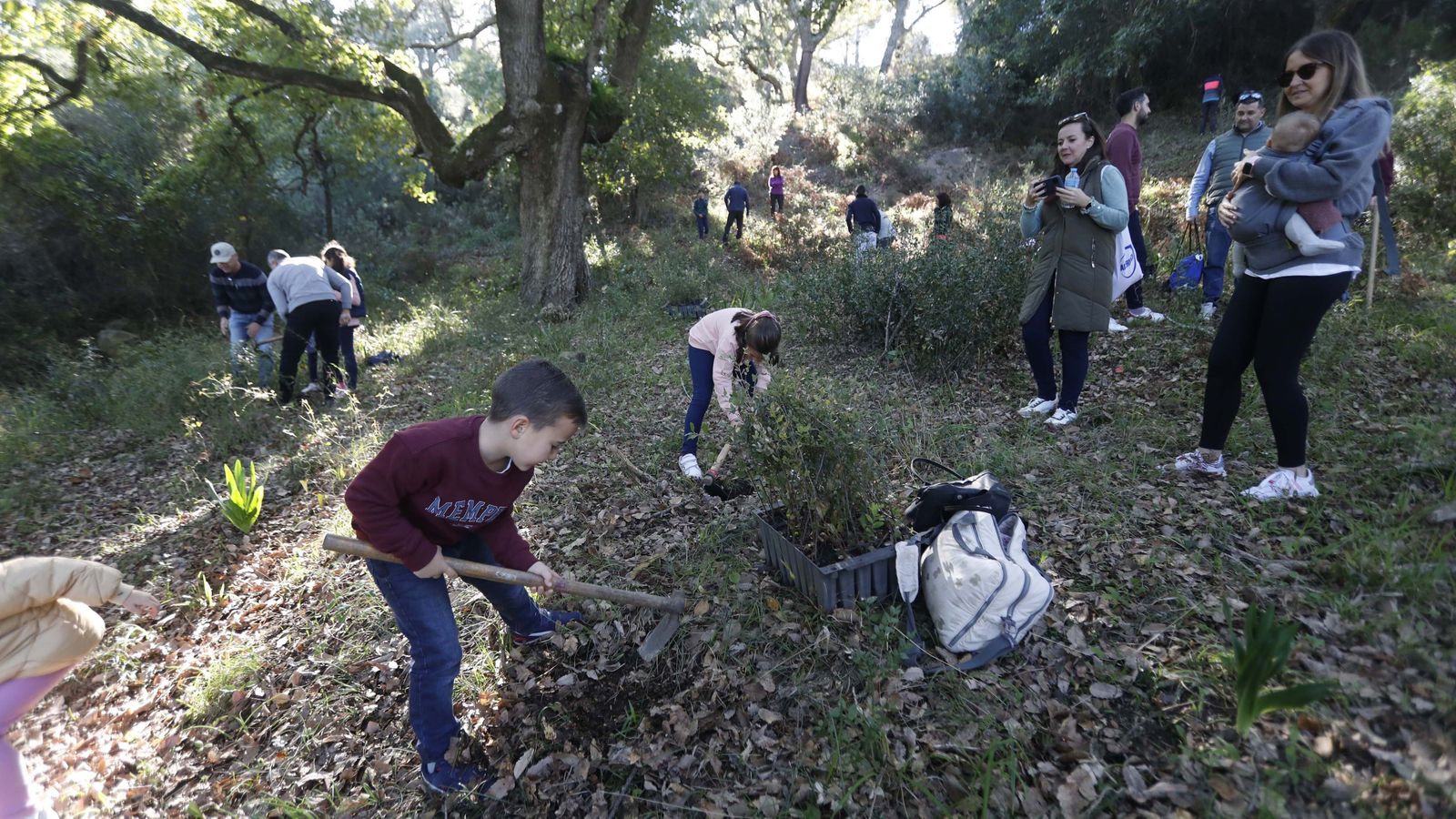 Jornada de reforestación en El Palancar por trabajadores de Acerinox, en imágenes