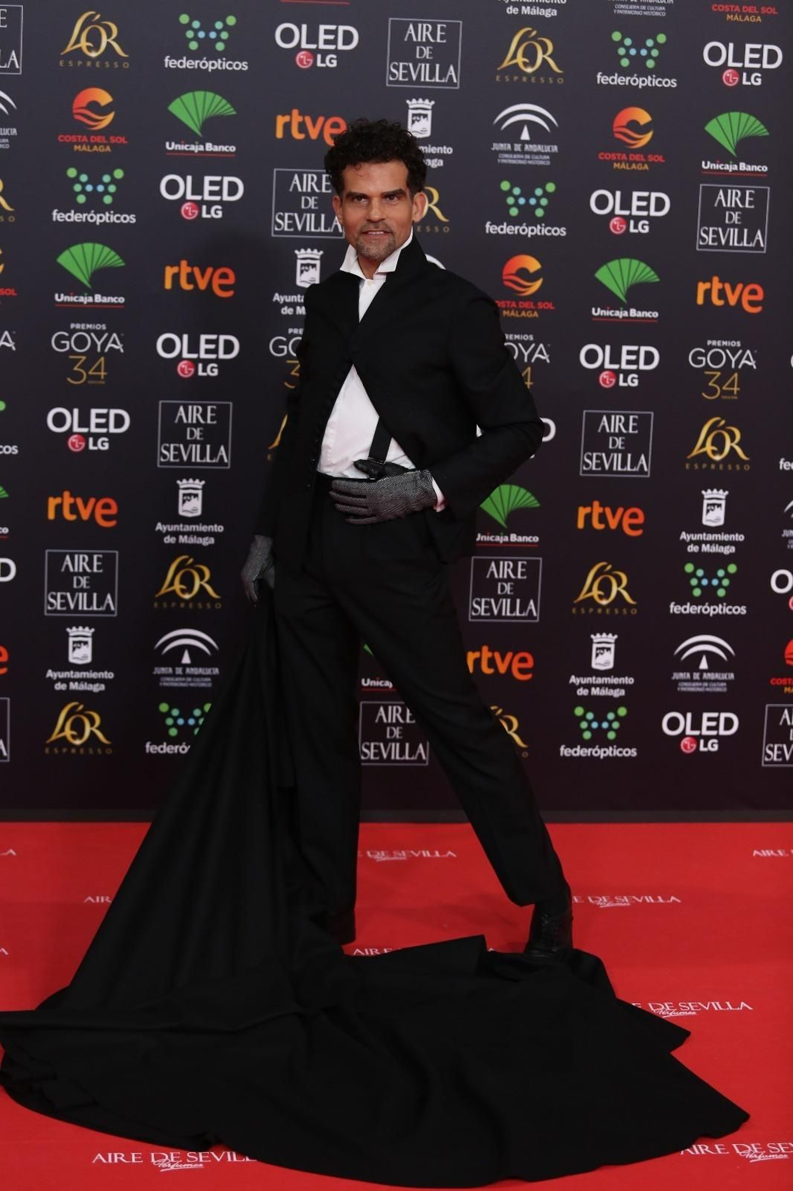 La alfombra roja de los Goya 2020 en Málaga