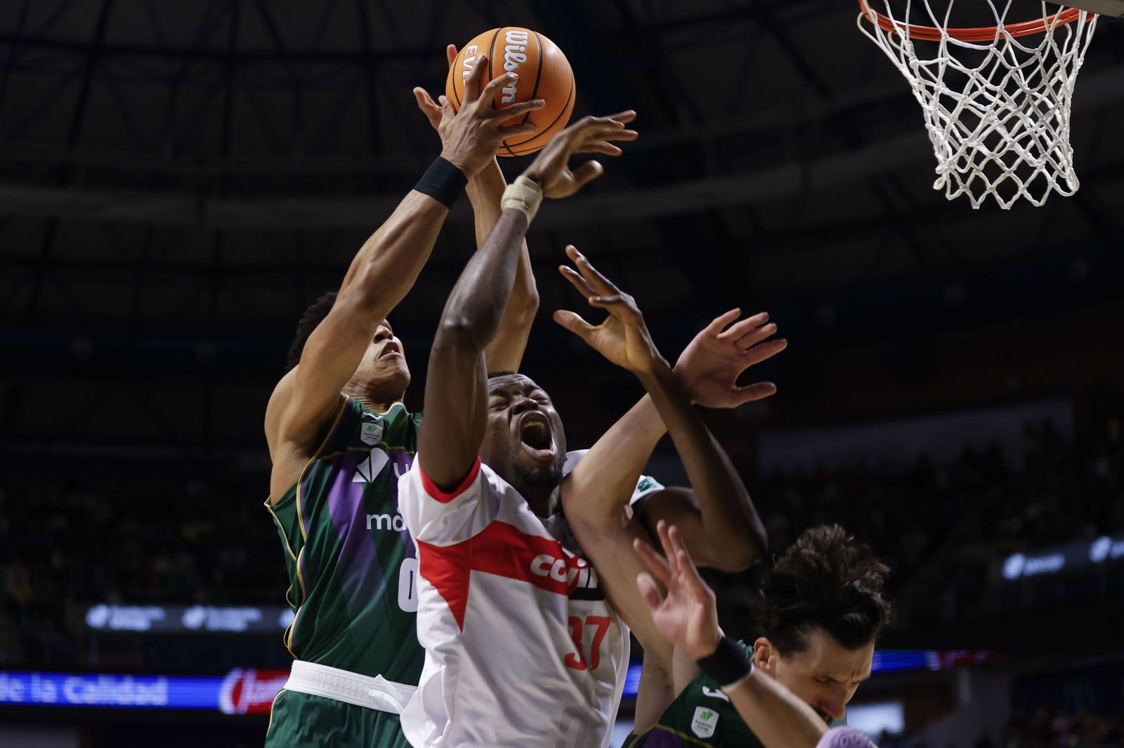 Tyson Pérez se impone en un rebote a Amida Brimah.