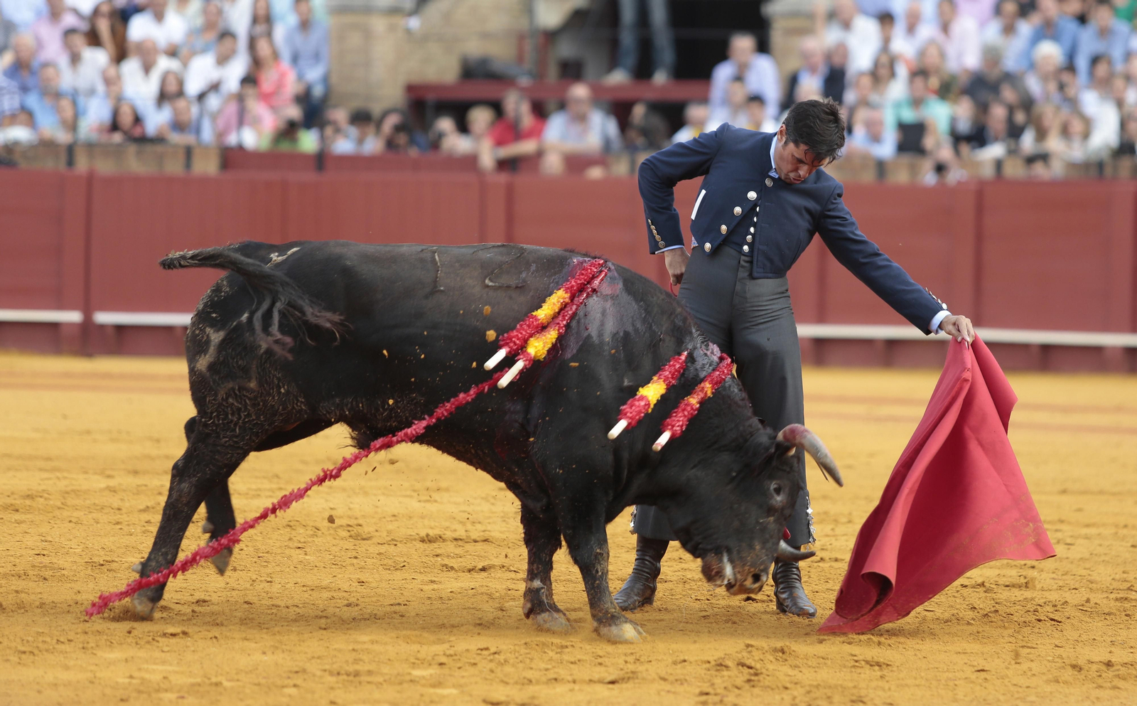 Imágenes del festival benéfico de toros en beneficio de la Hermandad de la Macarena