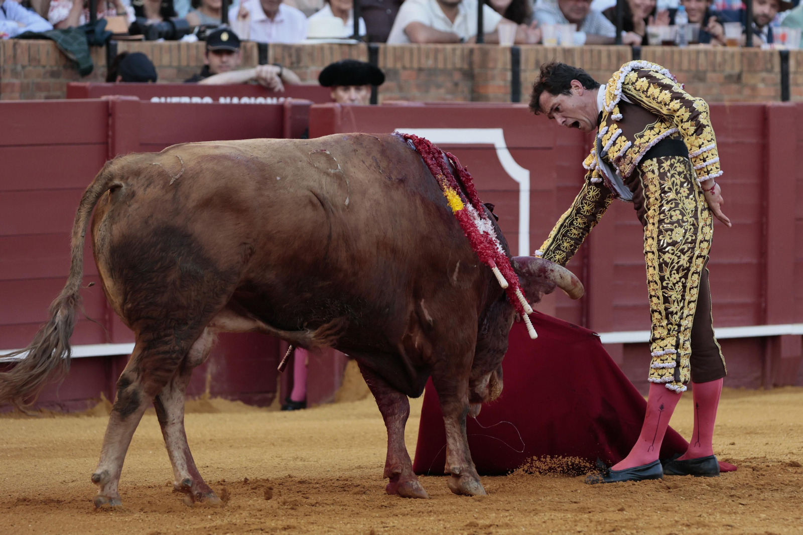 Las imágenes del festejo