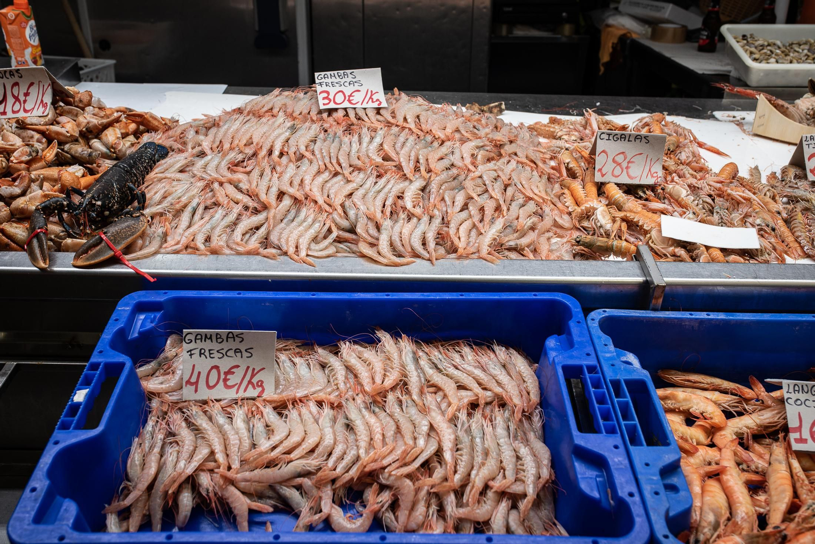 Las últimas compras en el Mercado del Carmen antes de Navidad, en imágenes
