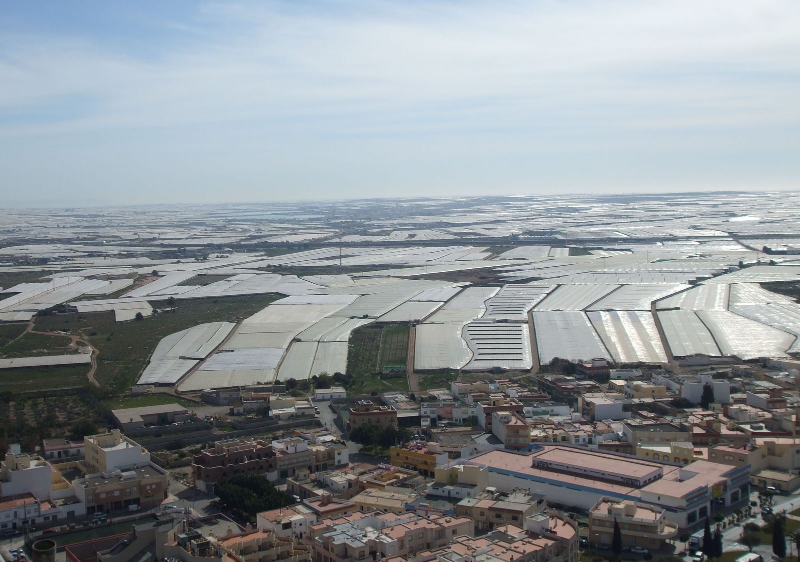 Organizaciones agrarias y comercializadoras secundan el paro agrario y se manifiestan esta mañana por la crisis estructural del sector