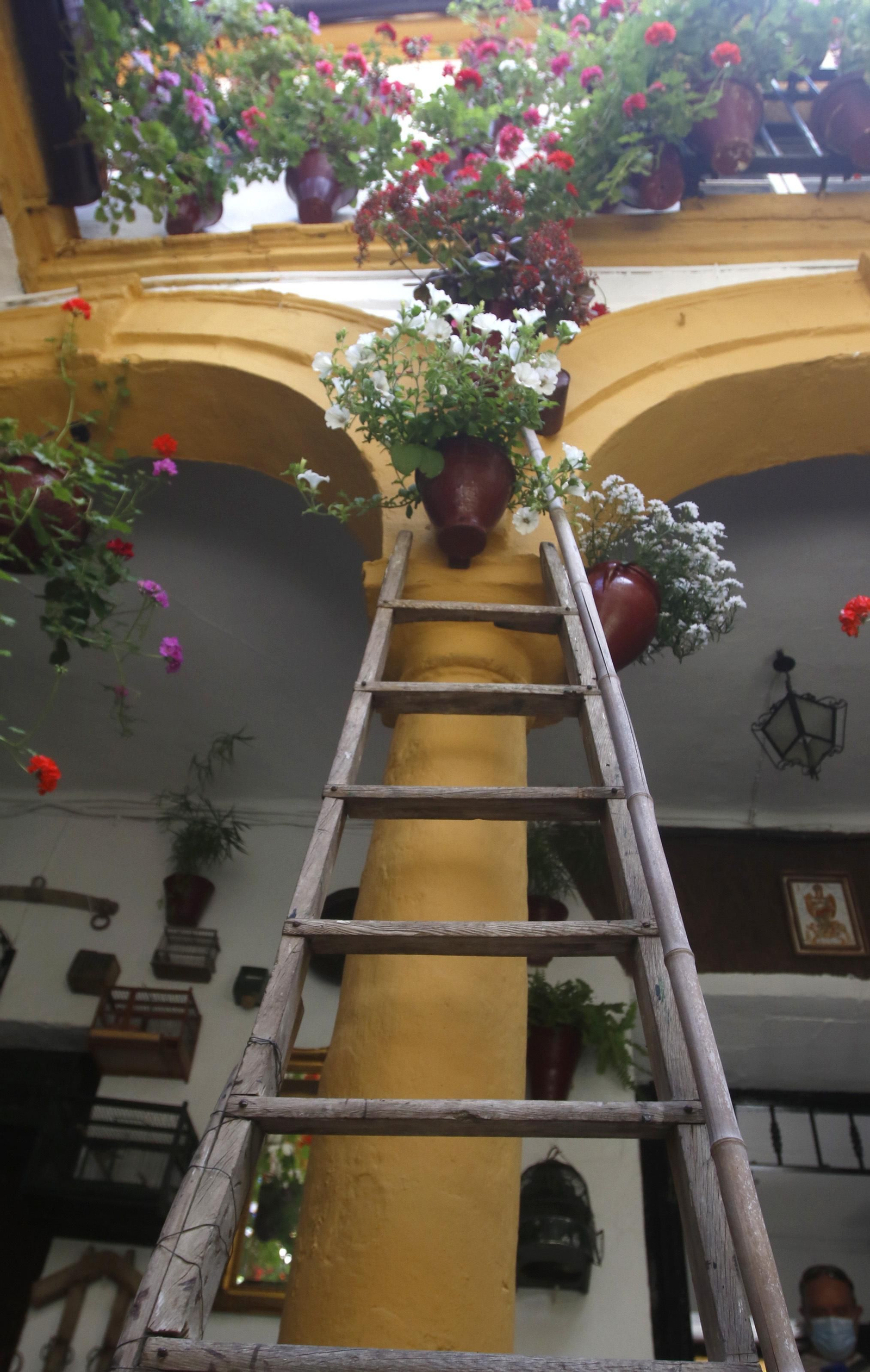 Ruta Alcázar Viejo de los Patios de Córdoba, en imágenes