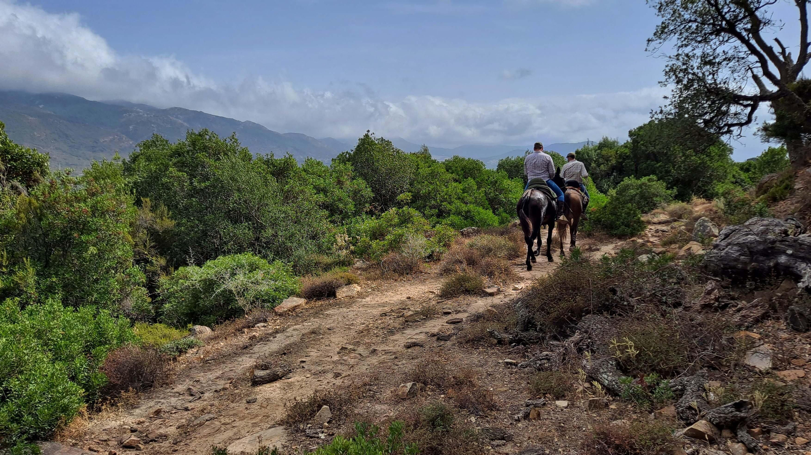 Fotos del sendero de la garganta del Rayo en Tarifa