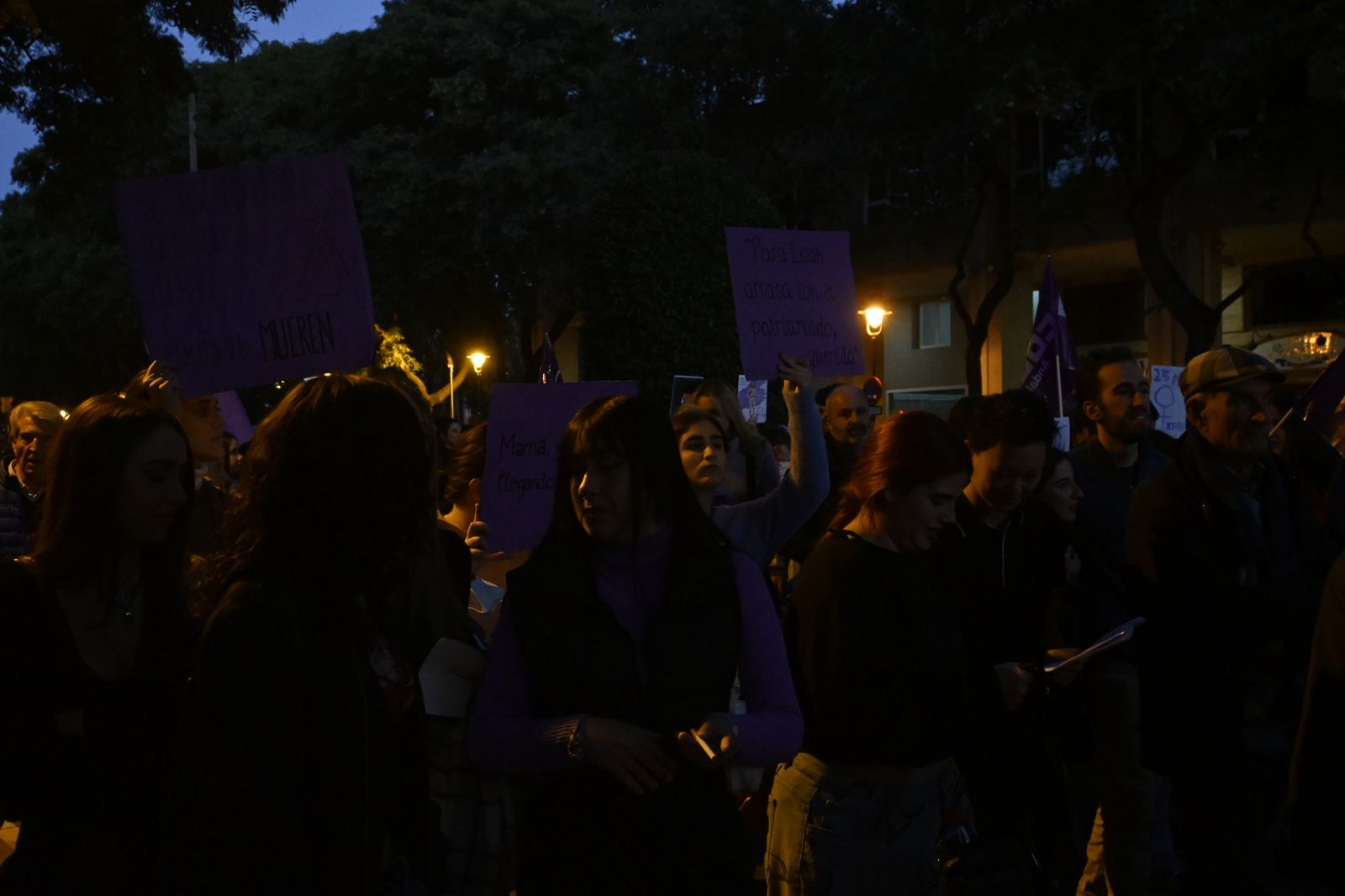 Manifestación del 25N en Imágenes.