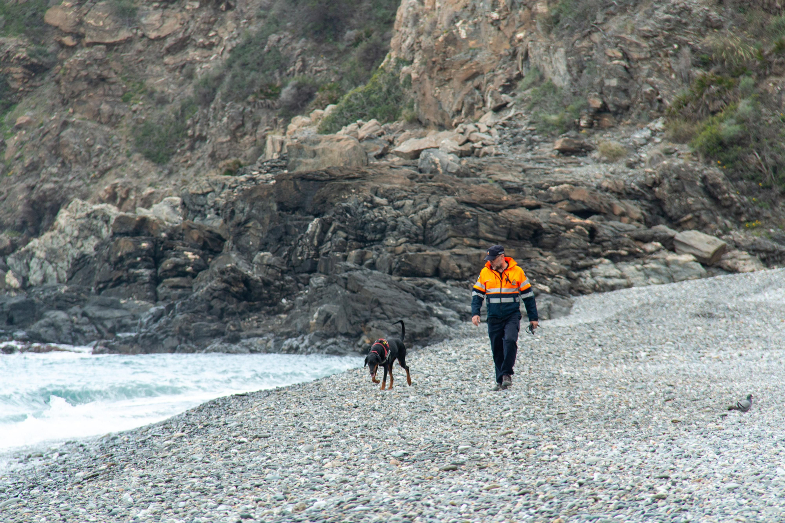 La unidad canina de Motril se activa para la búsqueda del hombre desaparecido en Almuñécar