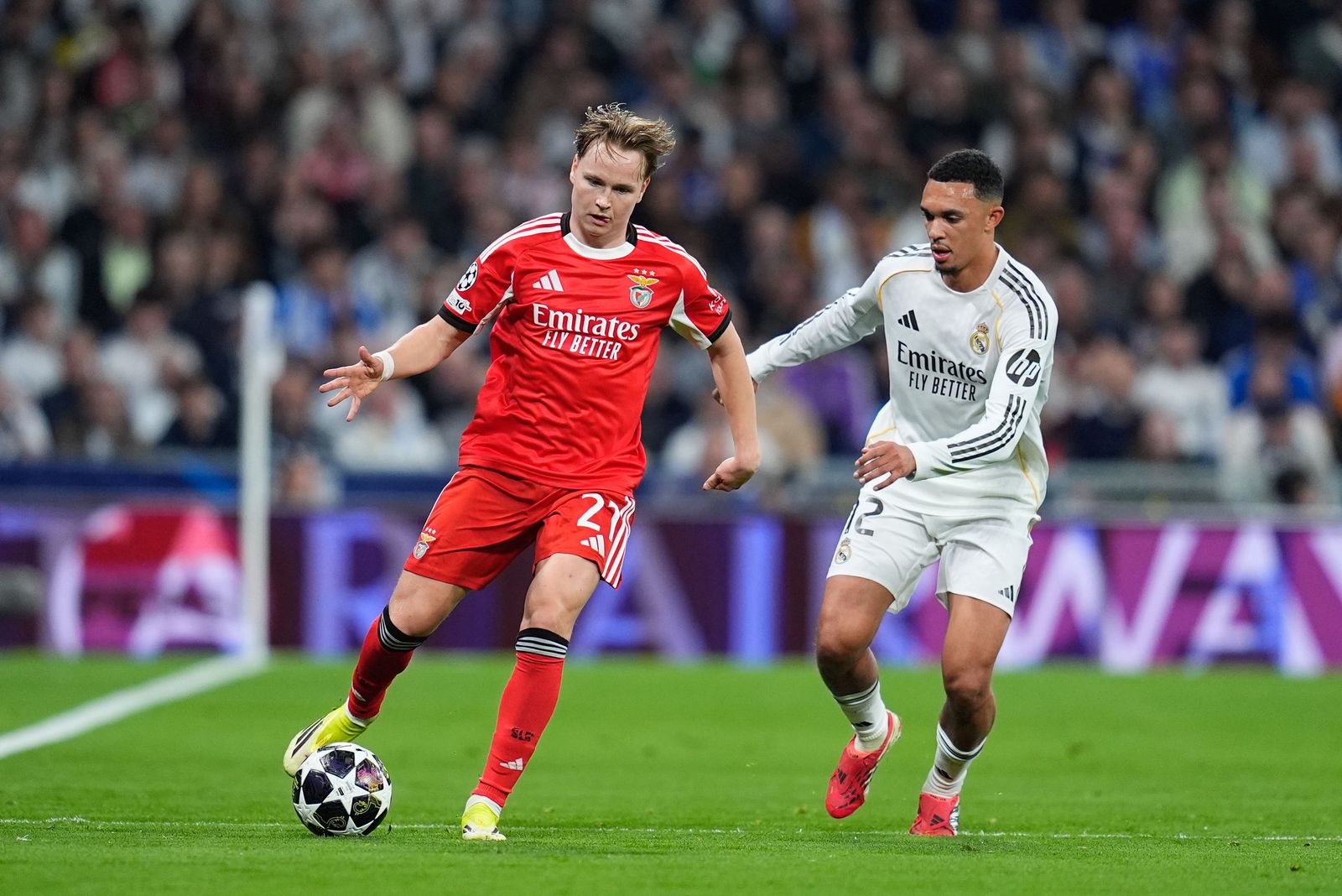 Las fotos del Real Madrid-Benfica