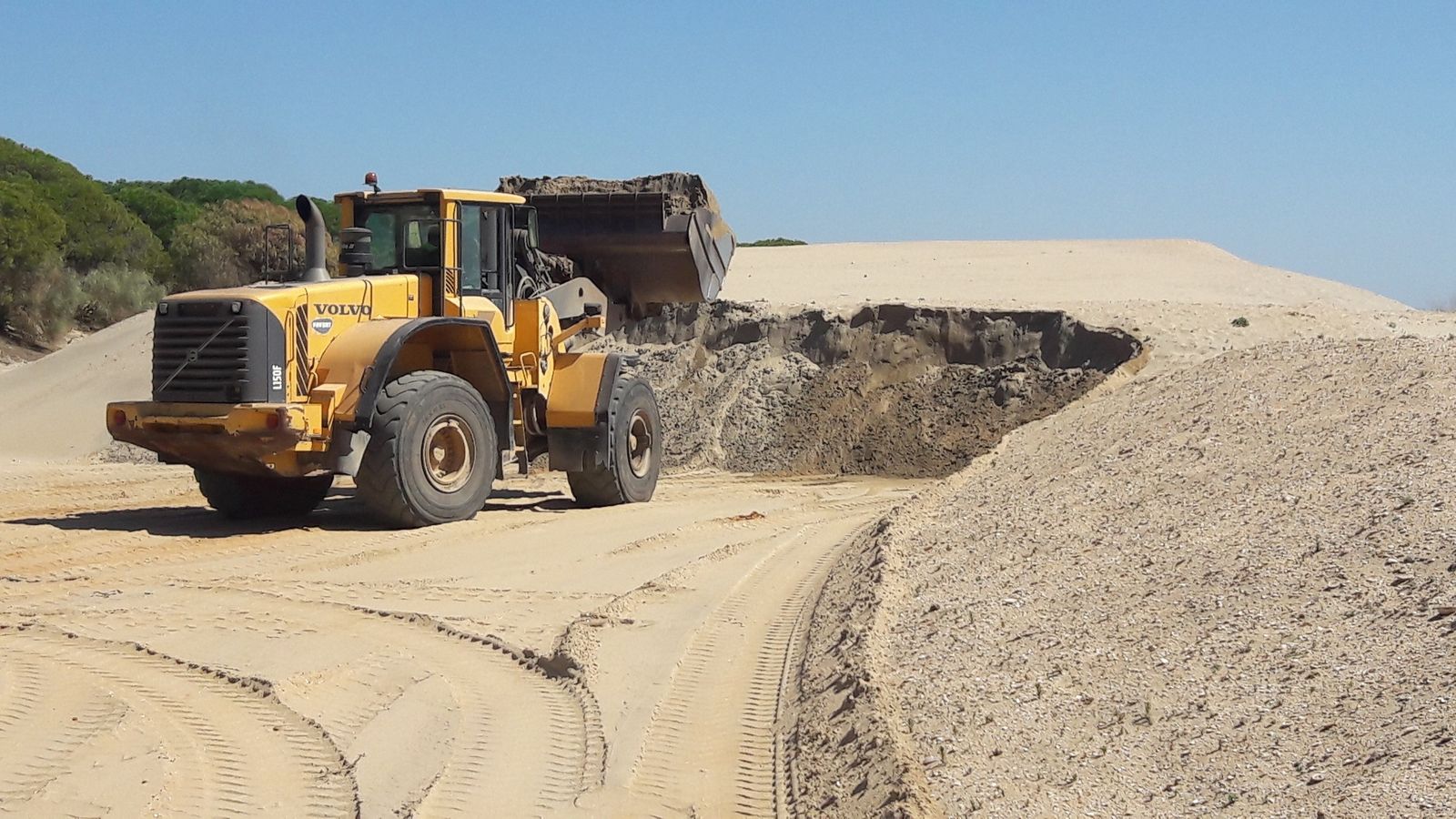 Una retroexcavadora acumula arena en una zona del litoral onubense.
