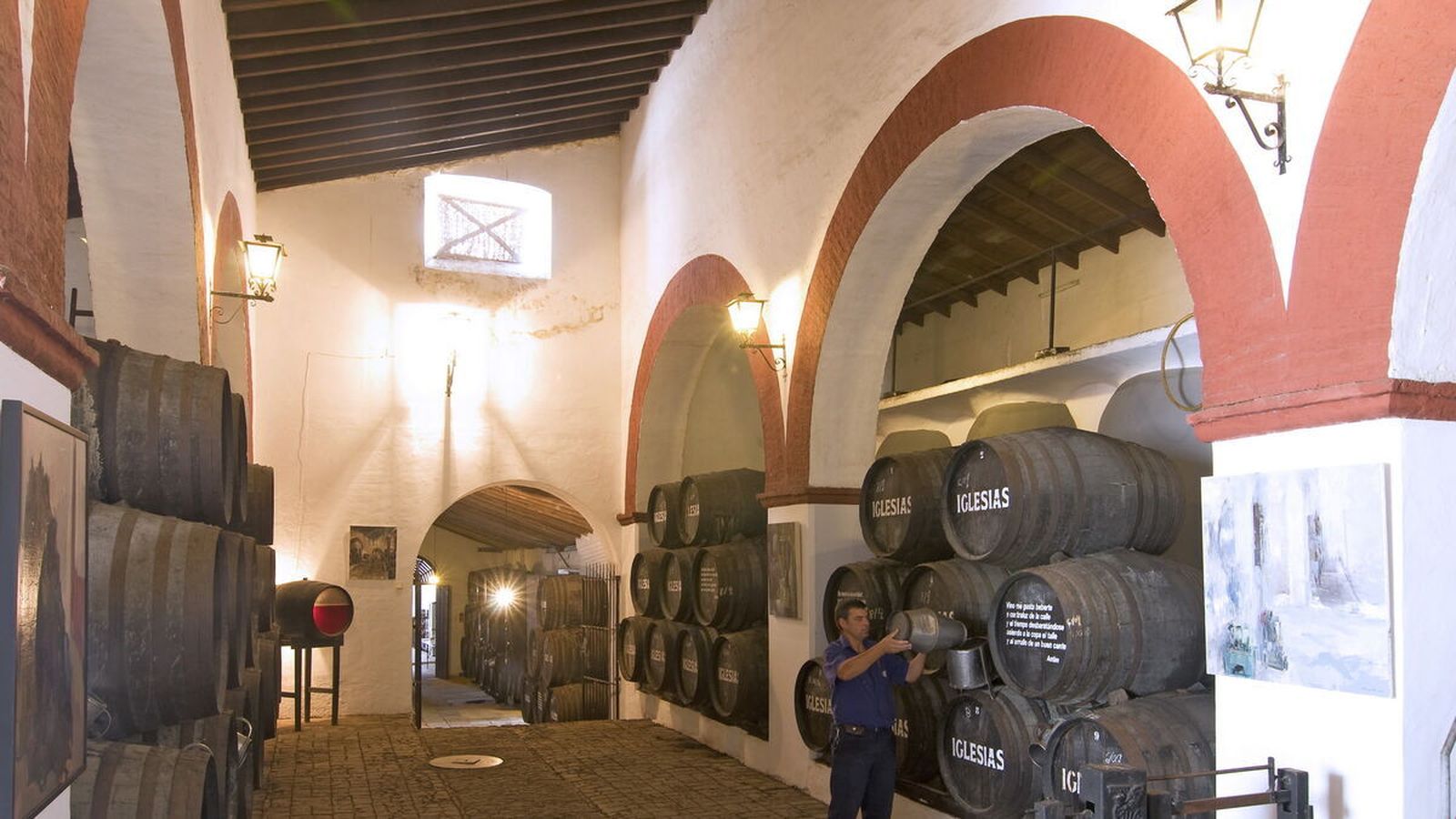 Cata de vinos y menús degustación