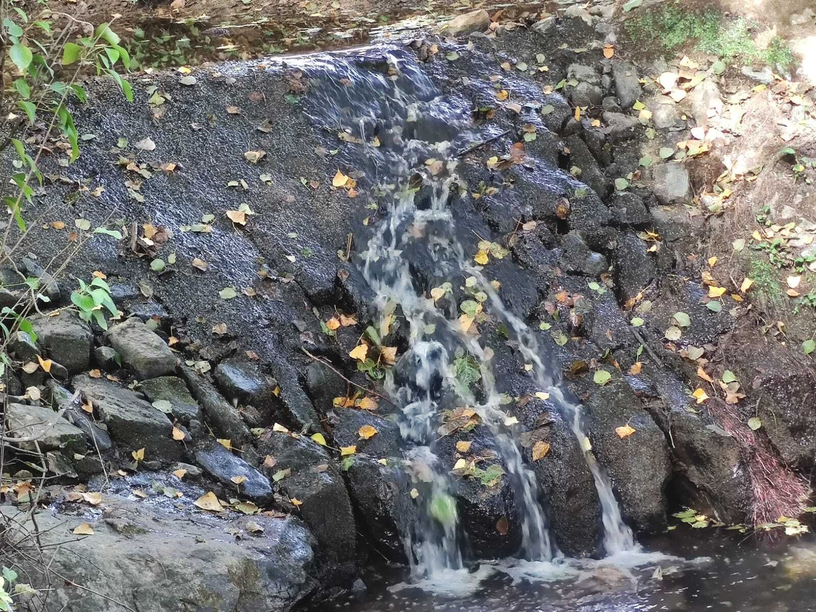 Una ruta familiar que enamora: el Bosque de las Letras en Santa Ana la Real