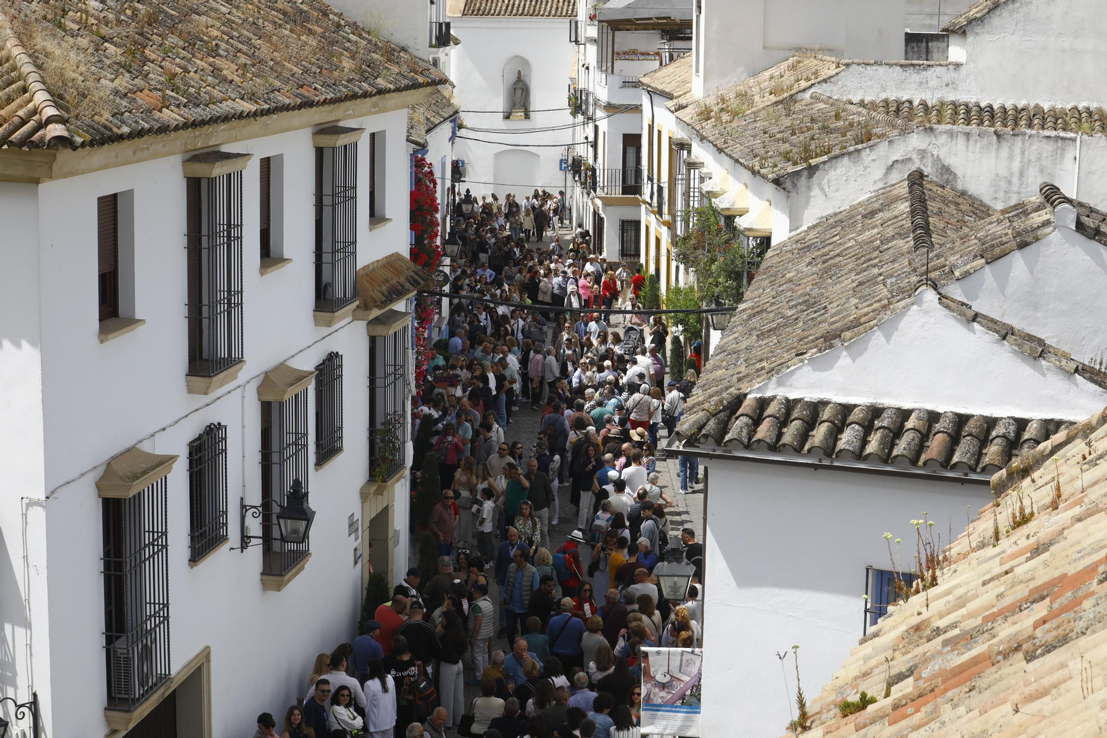 Colas e ilusión en el primer sábado de los Patios de Córdoba, en imágenes