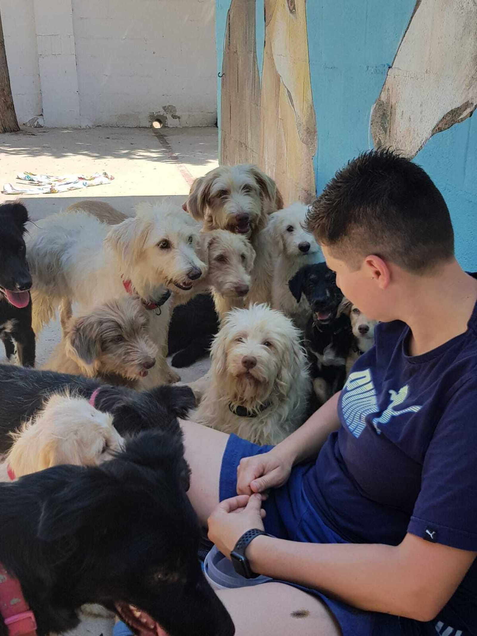 Uno de los voluntarios de la protectora rodeado de mascotas.
