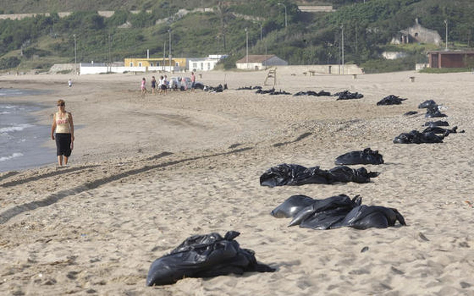 Desplegado el dispostivo de limpieza en la playa de Getares.

Foto: Erasmo Fenoy