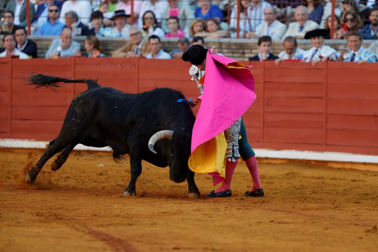 Las mejores fotos de la corrida de Morante, Ortega y Roca Rey en la Feria Taurina de Córdoba