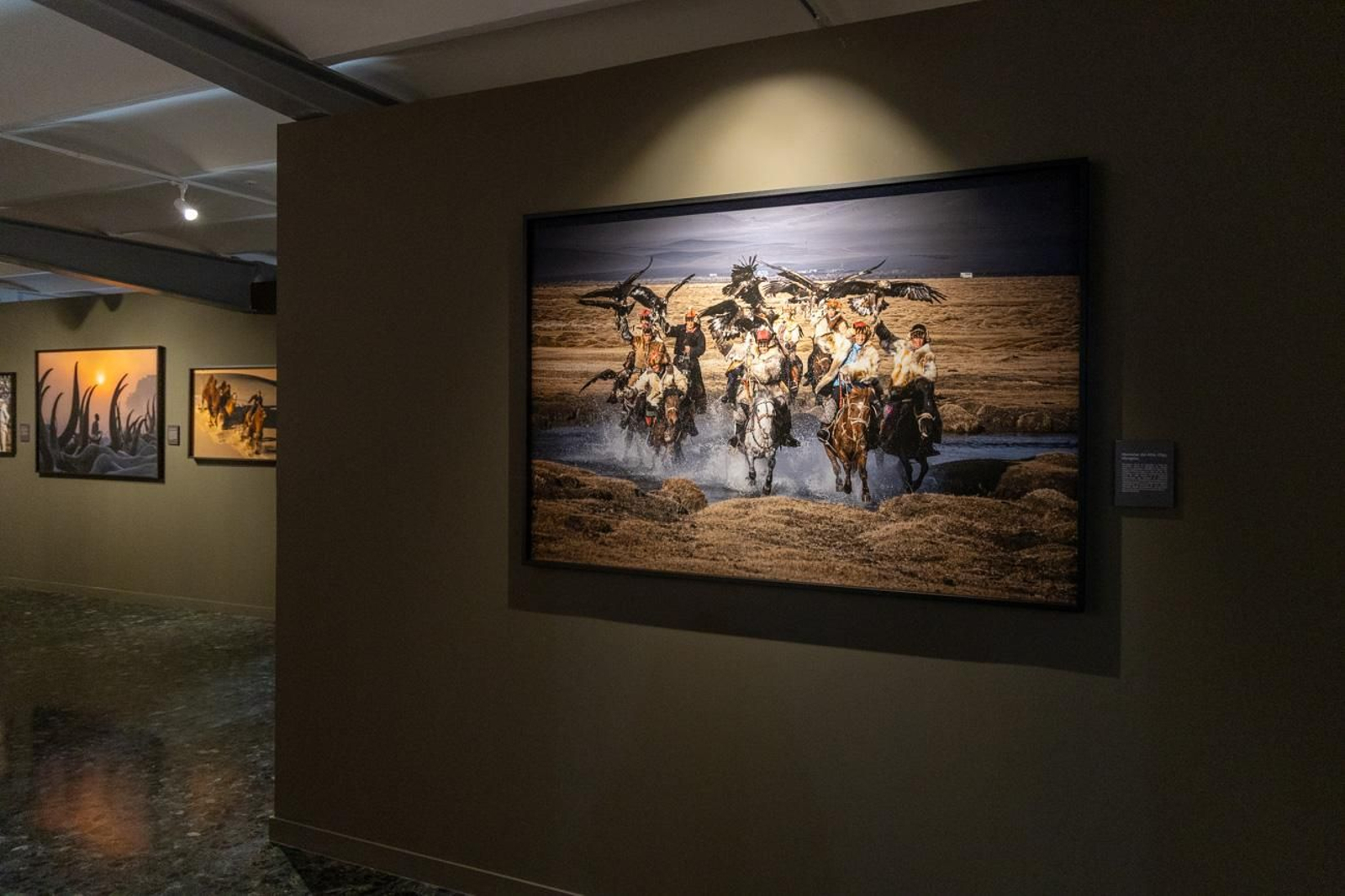 One Health en imágenes: la fotogalería de Katy Gómez que te hará reflexionar sobre la salud global