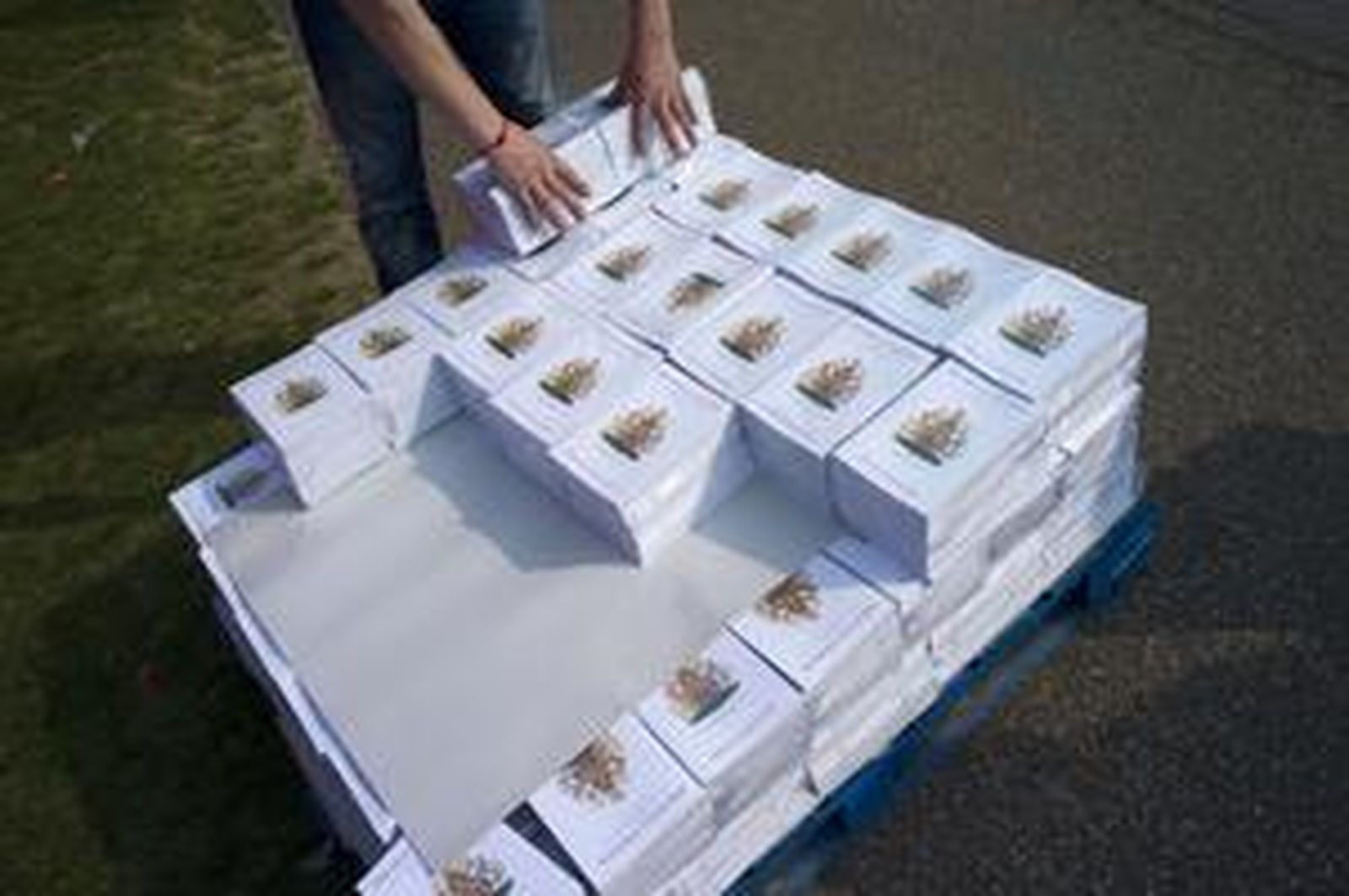 El Reino Unido se prepara para la boda del príncipe Guillermo y Kate Middleton.

Foto: Reuters