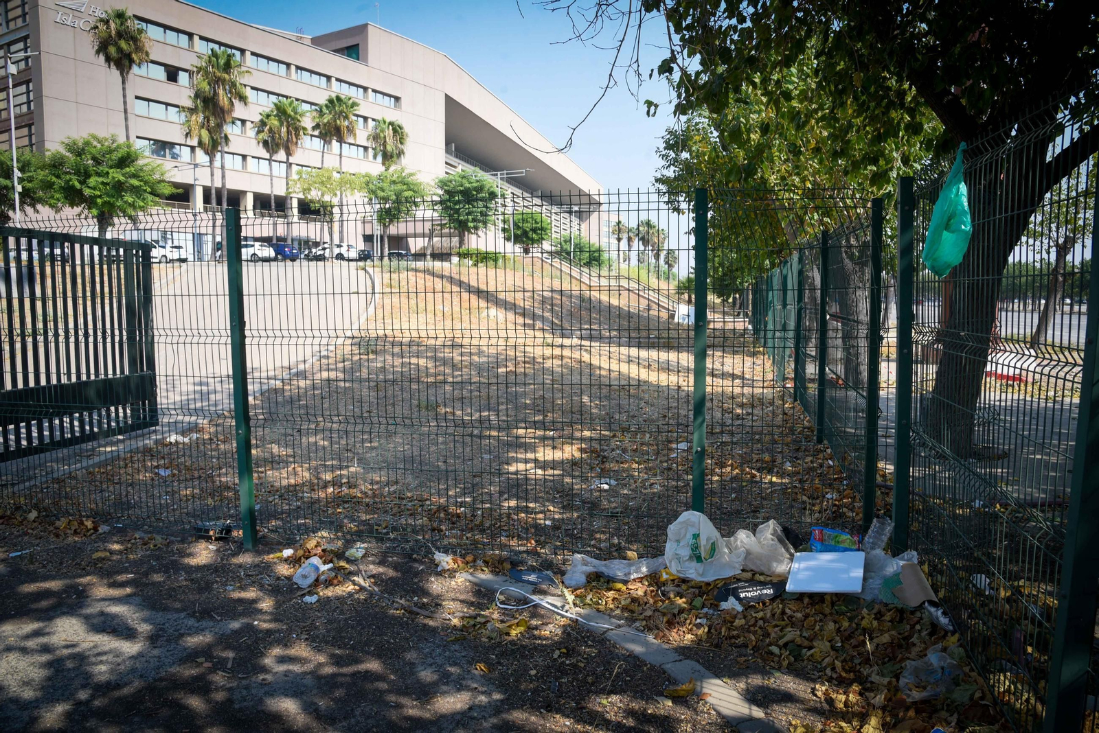 Imágenes del estado de la Cartuja el día antes del Betis - Alavés