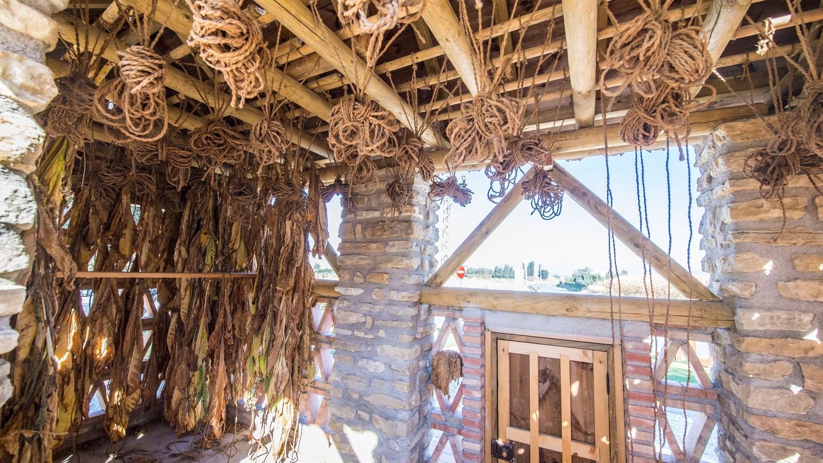 El interior de un secadero de tabaco en Granada.