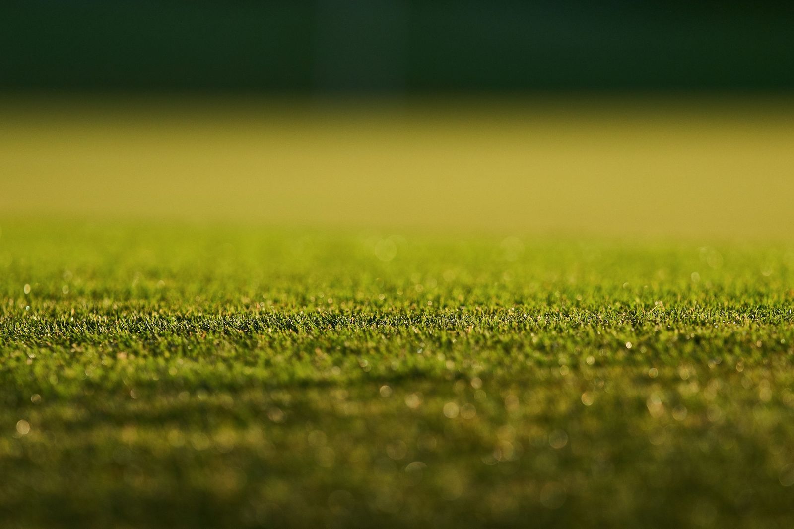 Solheim Cup: Las fotos de la segunda jornada