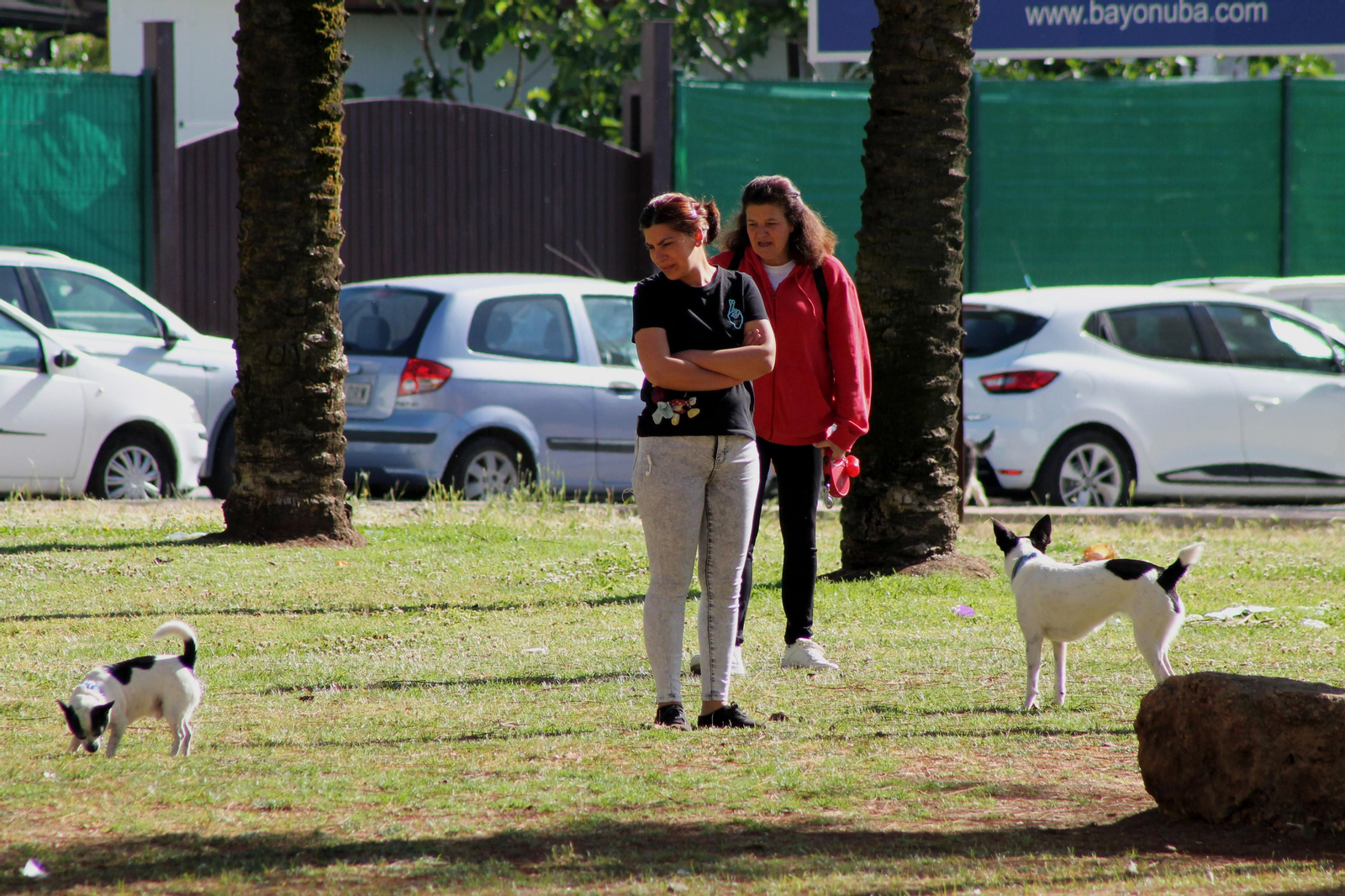 Barrio a Barrio: Huerto Paco, en imágenes