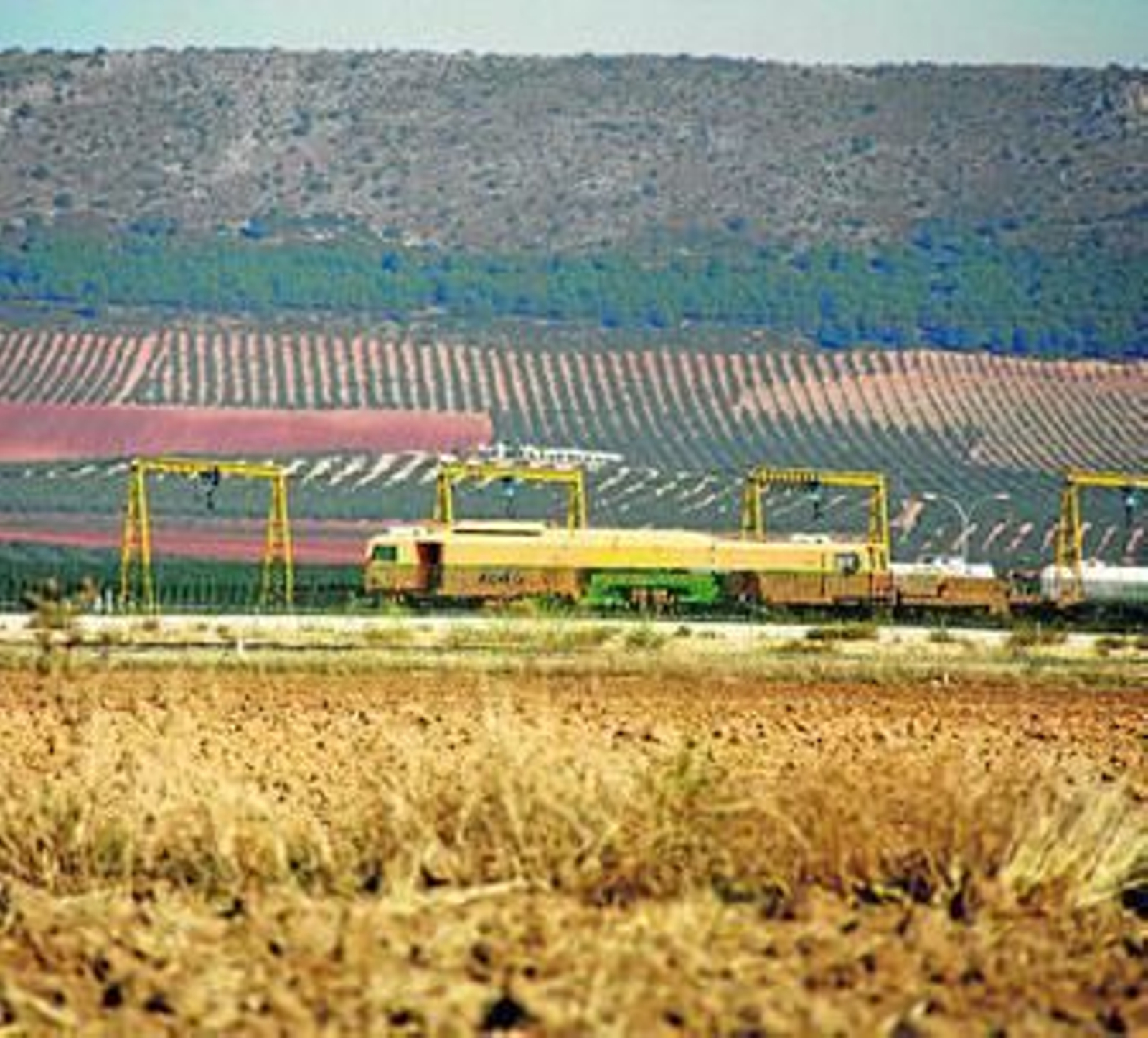 Un tren de mercancías en las proximidades de Bobadilla.