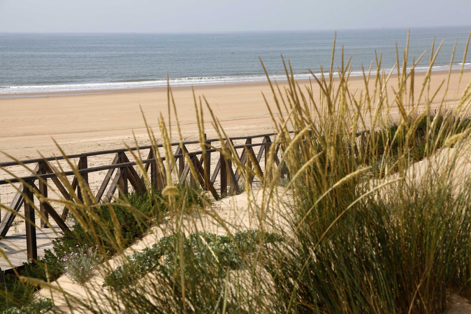 Playa de Nueva Umbría, en Lepe
