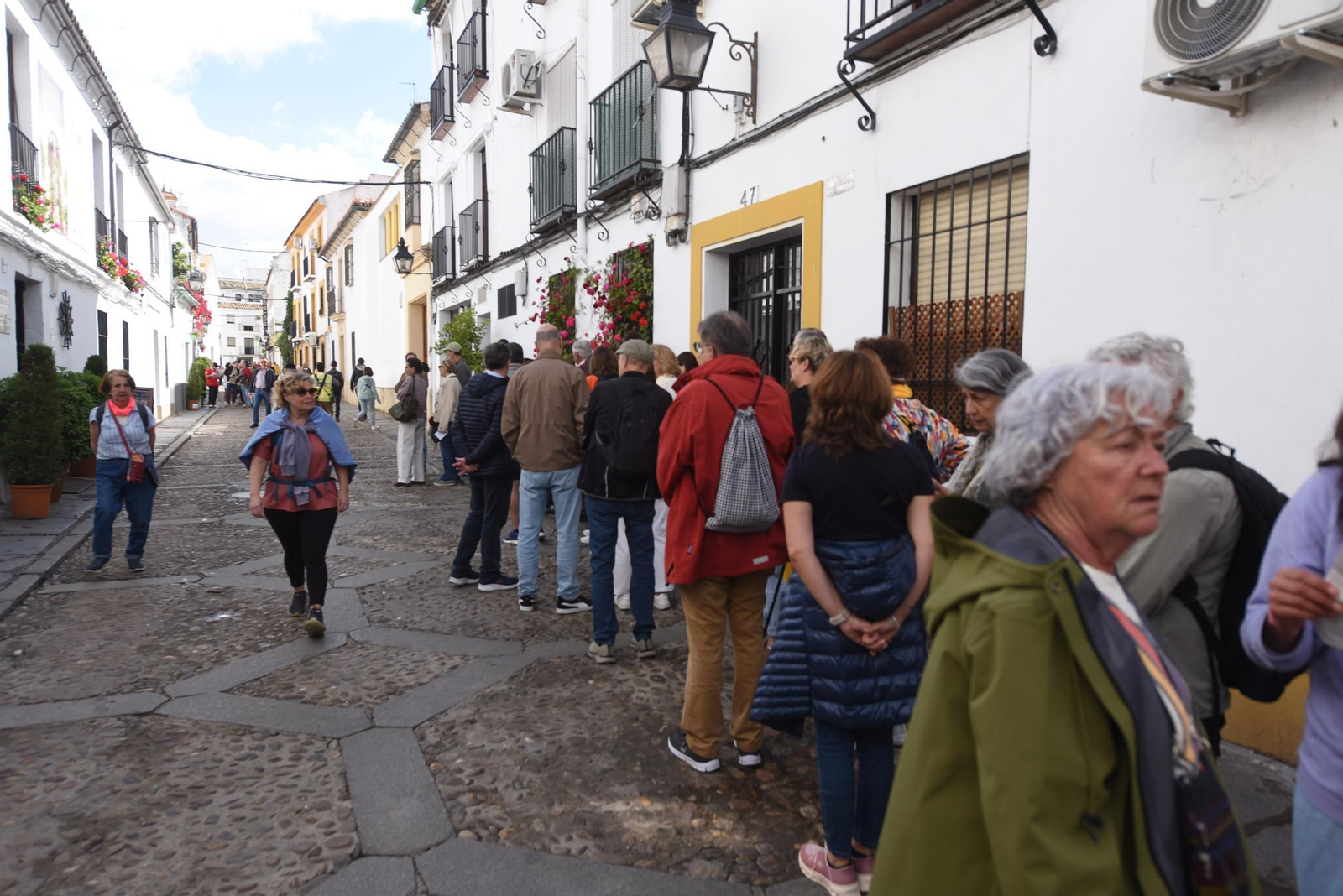 Los Patios de Córdoba de la Ruta del Alcázar Viejo, en imágenes