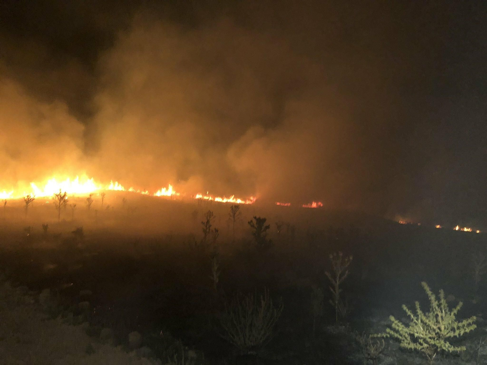 Imagen del incendio.