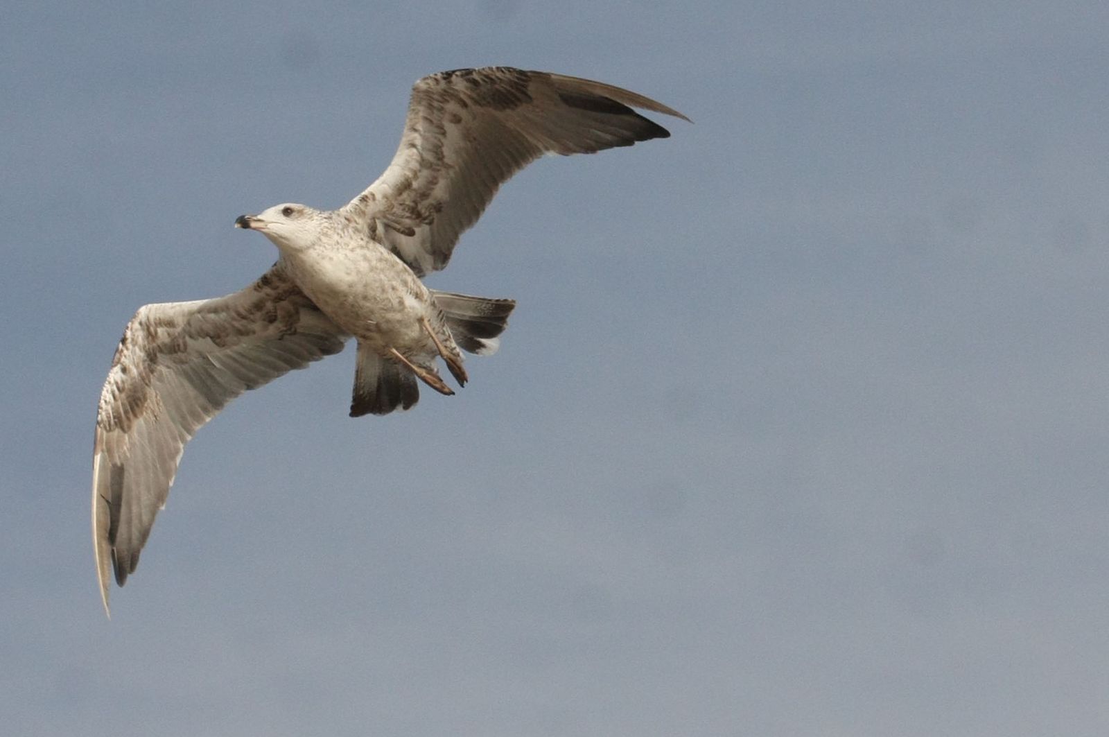 Imágenes del lunes 6 de mayo en Huelva