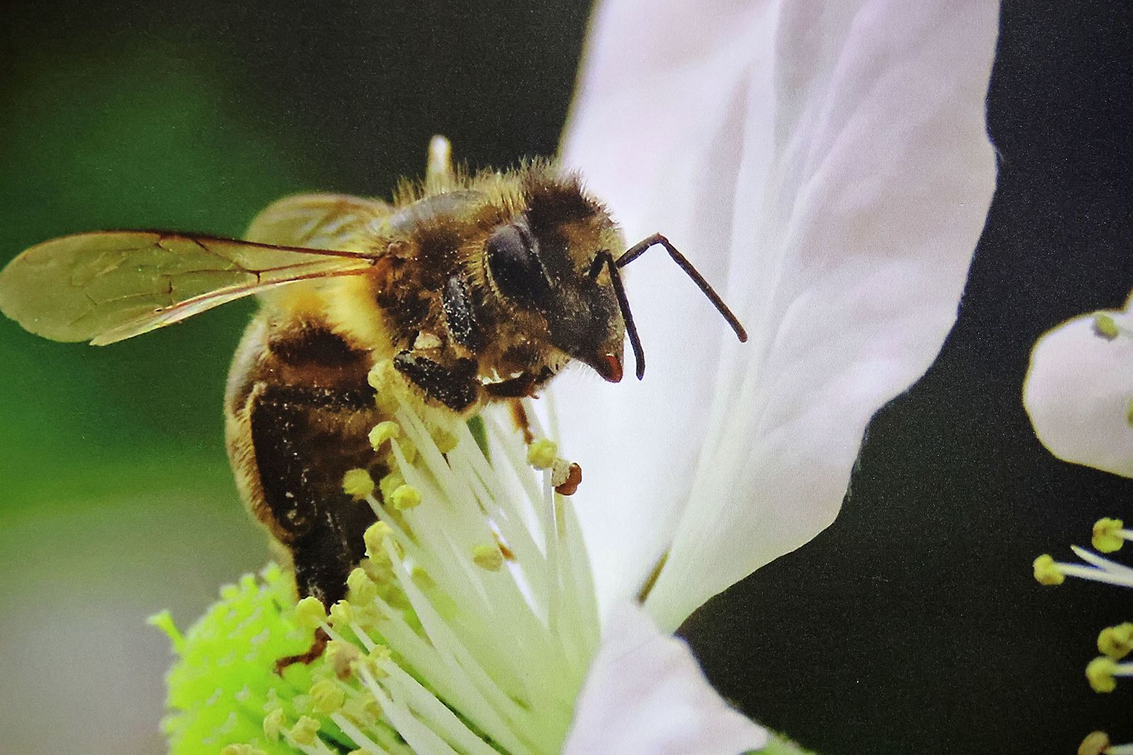Exposición del I Rally Fotográfico de La Canastita
