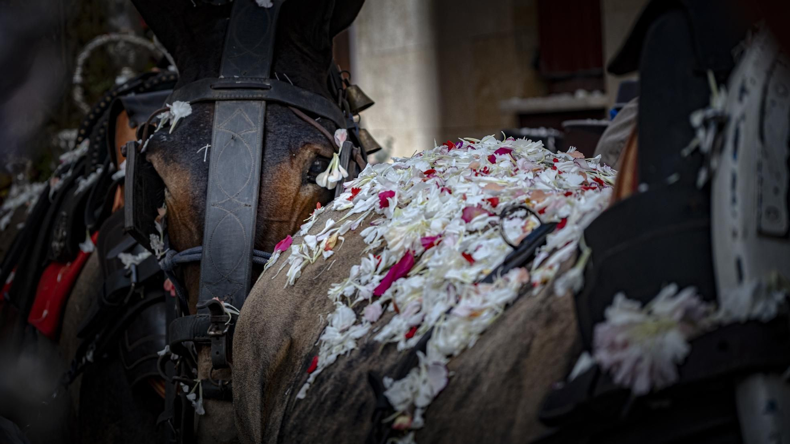 Salidad de la Hermandad del Rocio de Cádiz