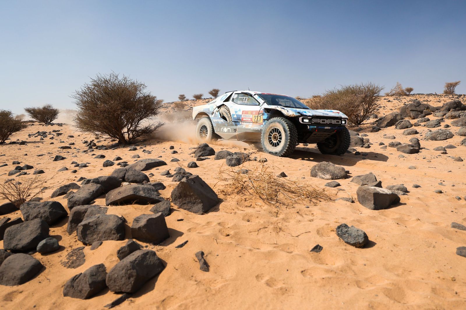 Las mejores fotos del Rally Dakar | undécima etapa