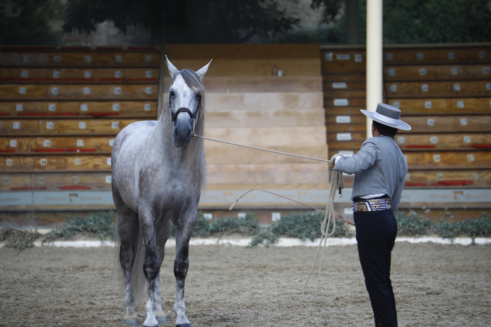 El concurso morfológico de caballos de pura raza de Cabalcor, en fotografías