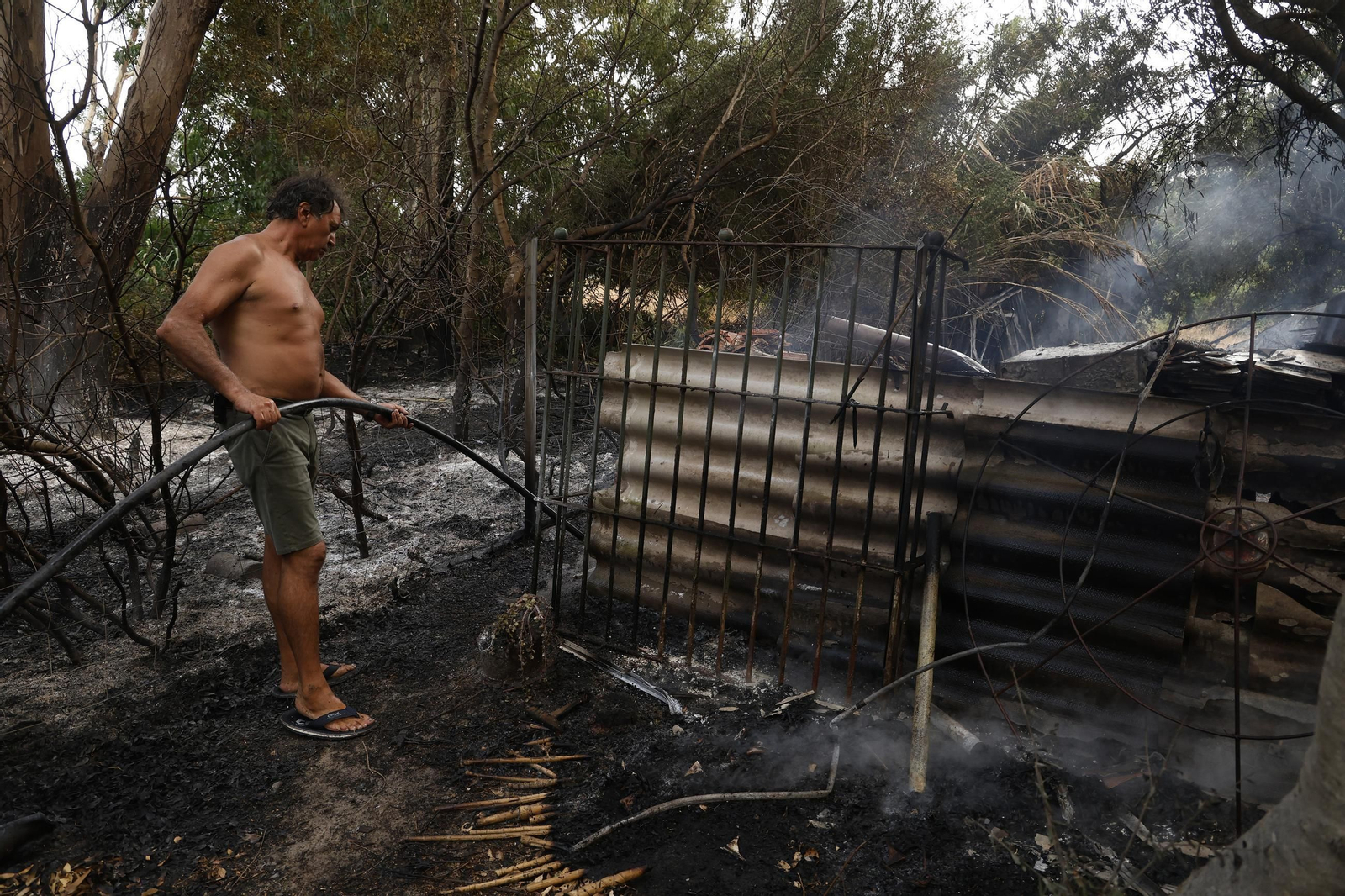 Las fotos del incendio forestal entre la Torre y Valdevaqueros en Tarifa