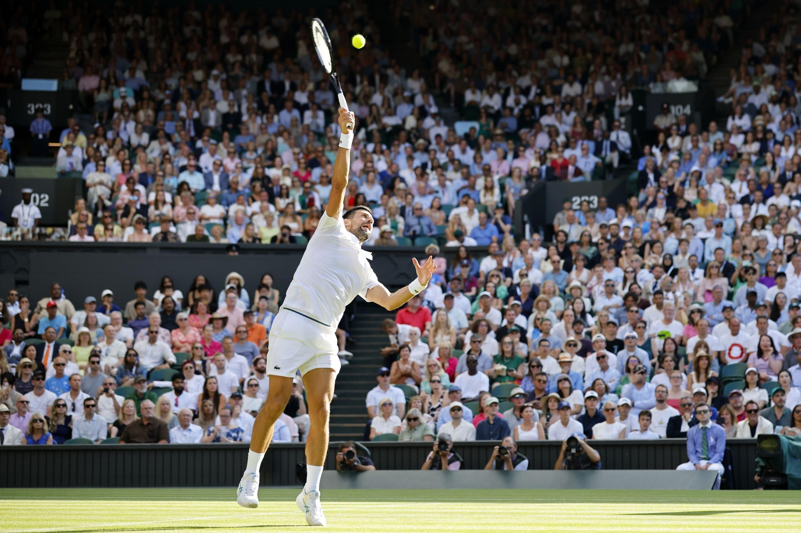 Las fotos de Wimbledon con las clasificaciones de Djokovic y Sinner