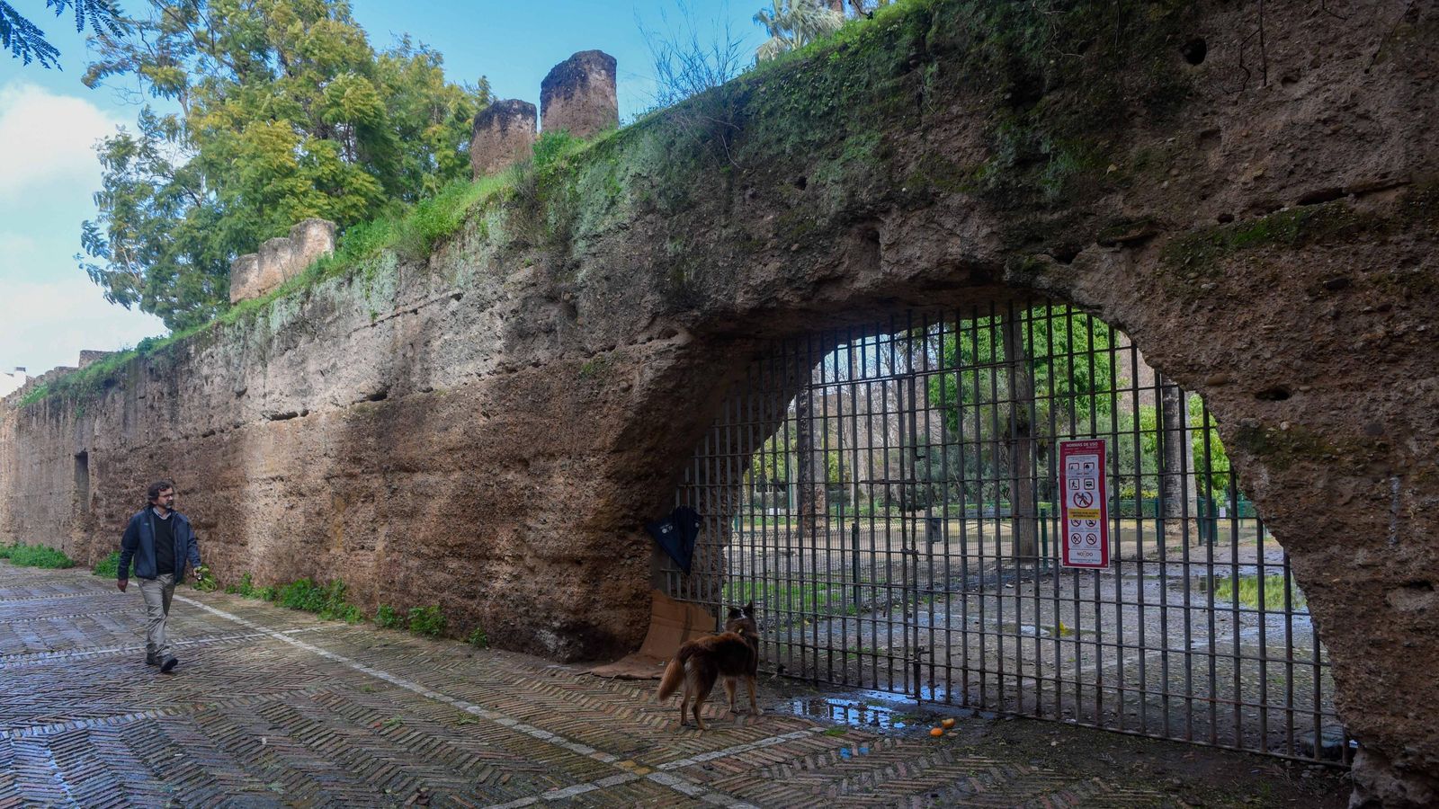 Una joven pasea a su perro ante uno de los lienzos de la muralla.