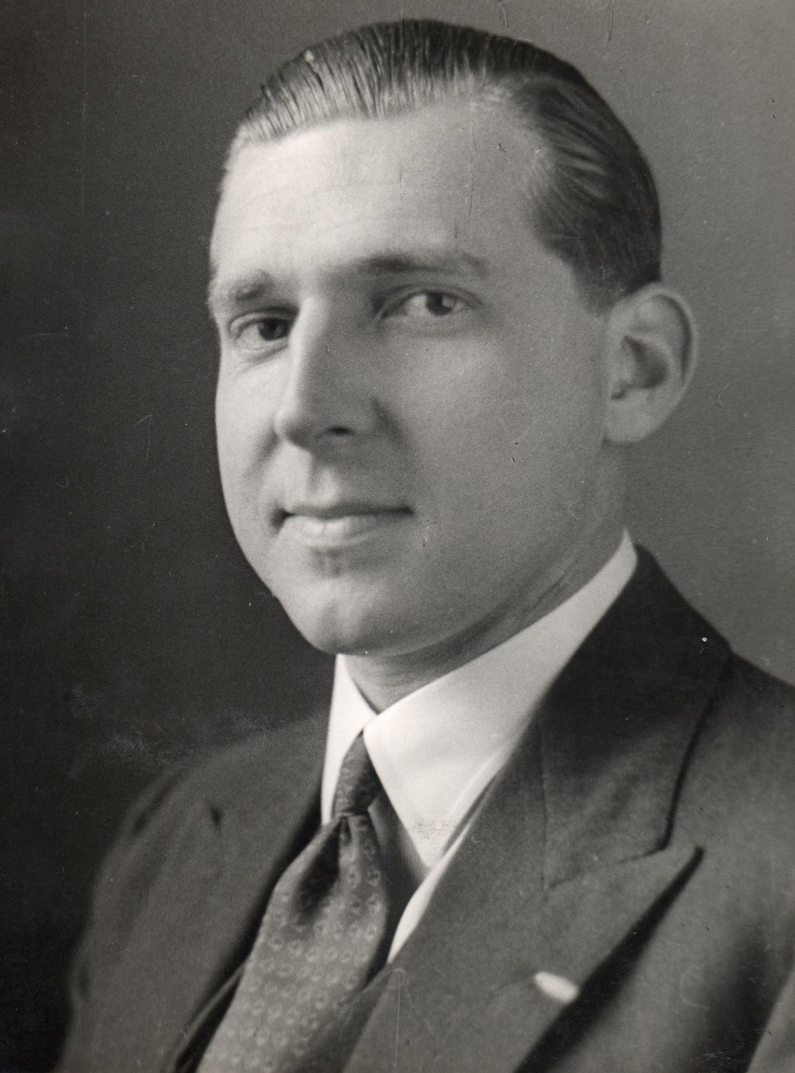 Retrato de Don Juan de Borbón joven.