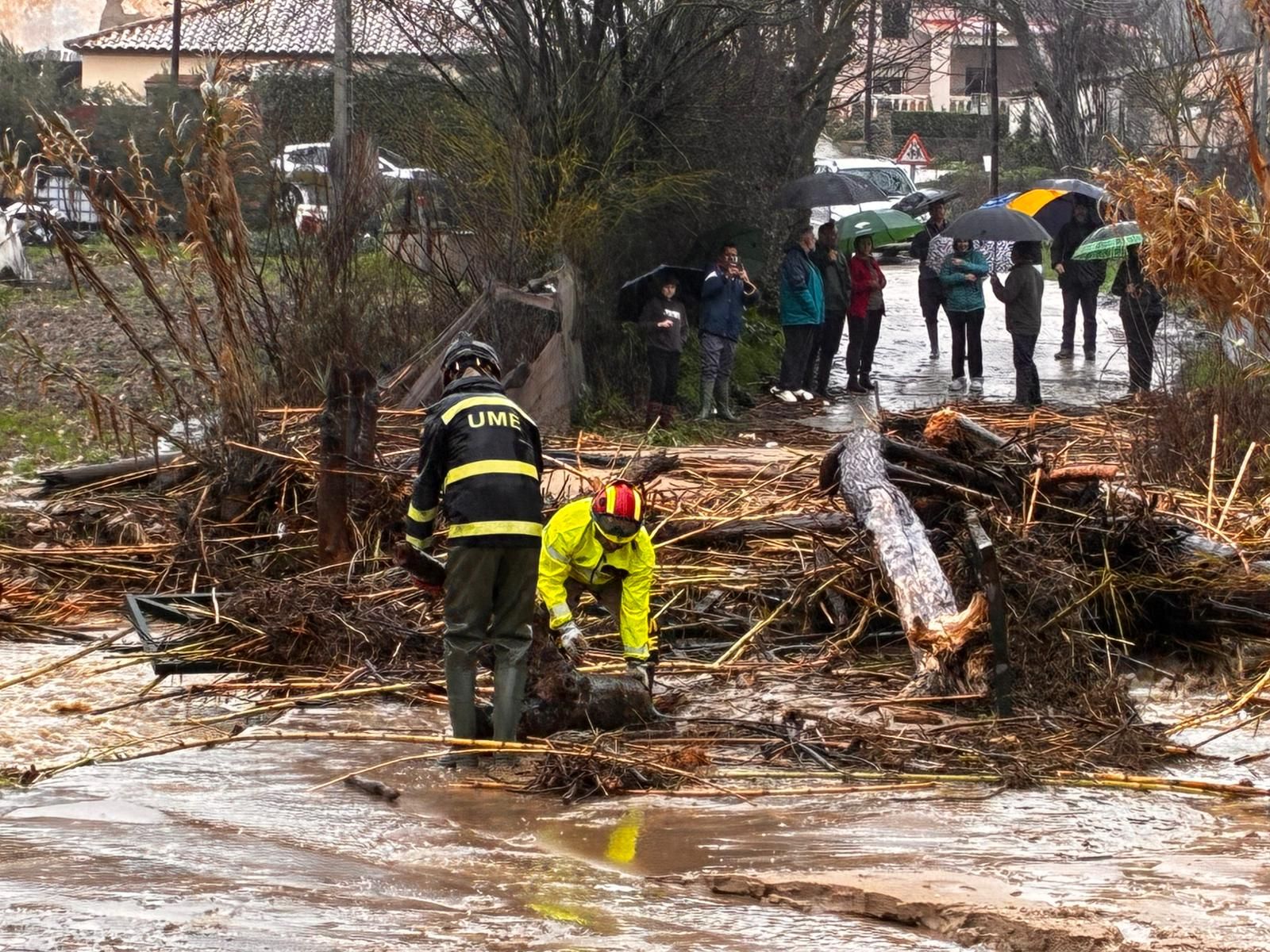 La UME ya trabaja en la Serranía de Ronda para despejar caminos